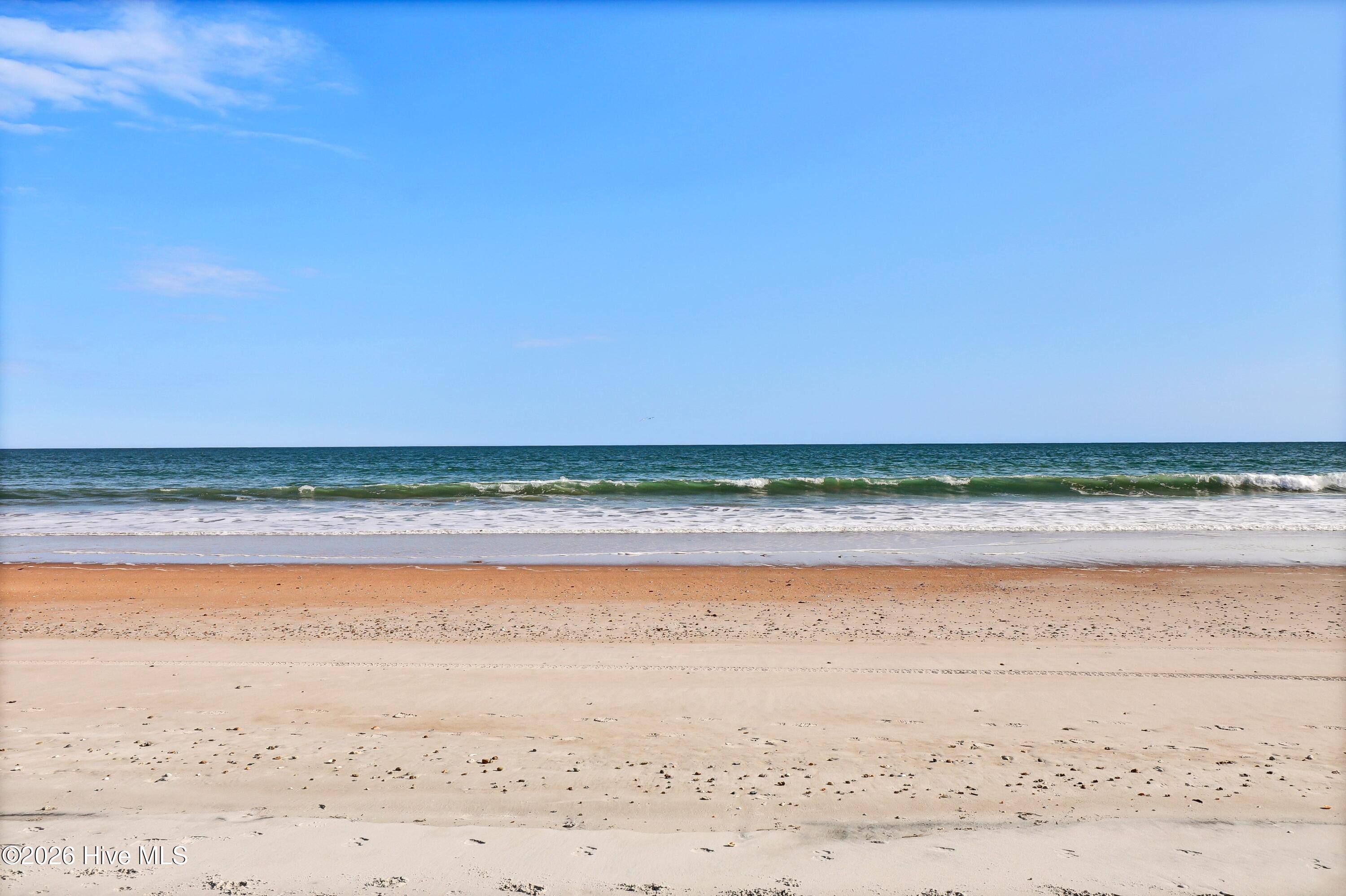 100554620 | Photo 42