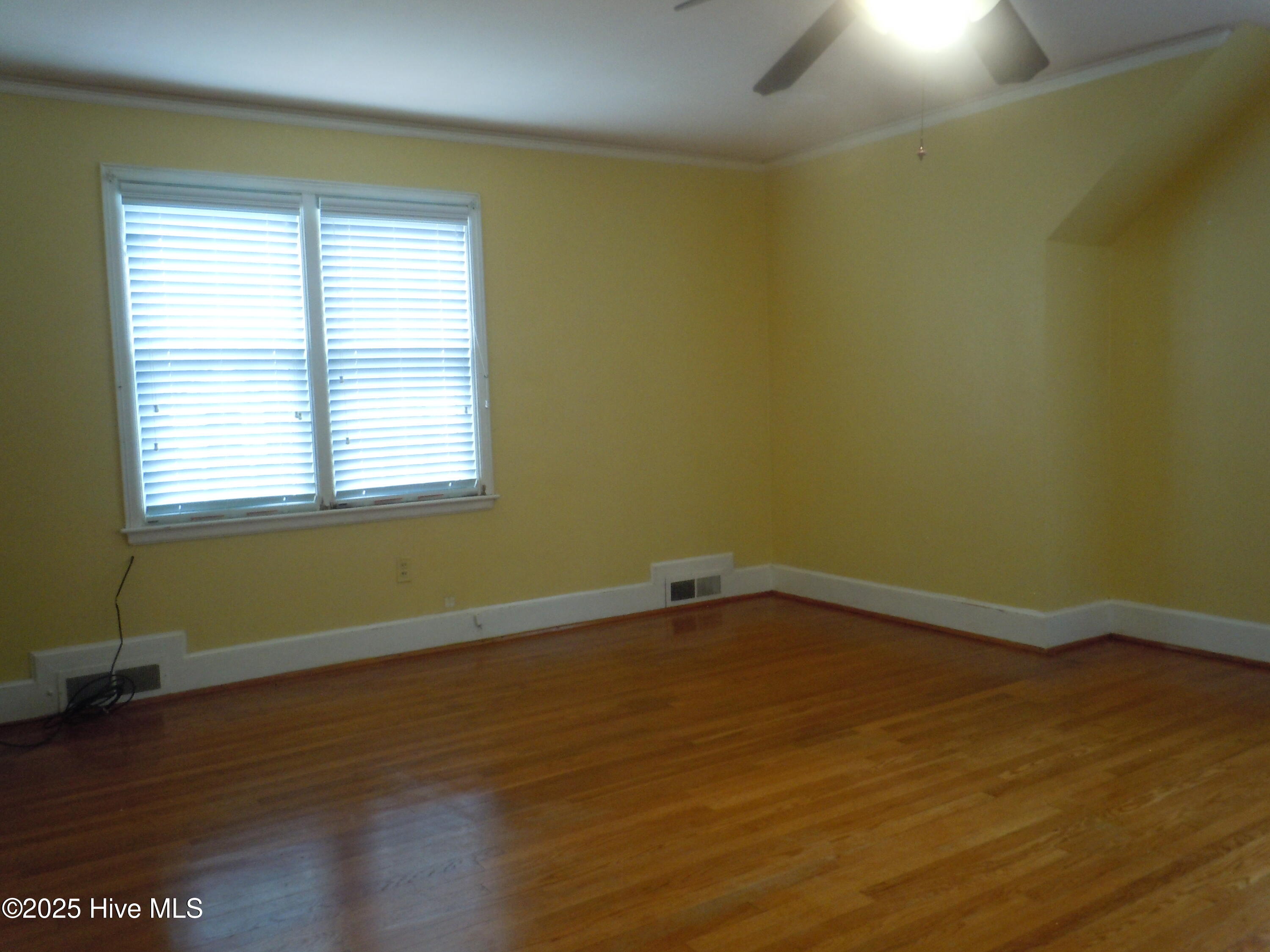 100536293 | Photo 33