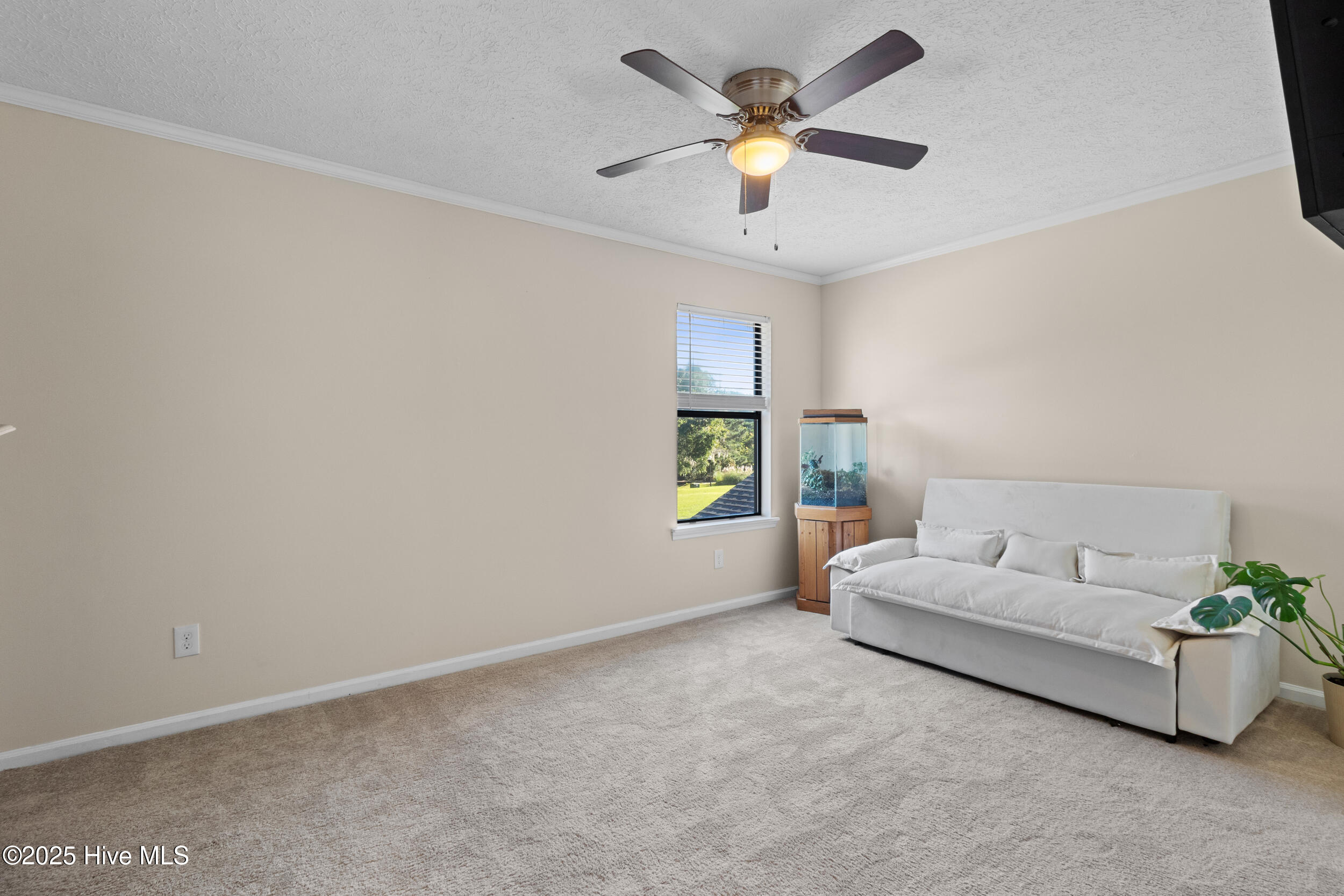 100537542 | Photo 21