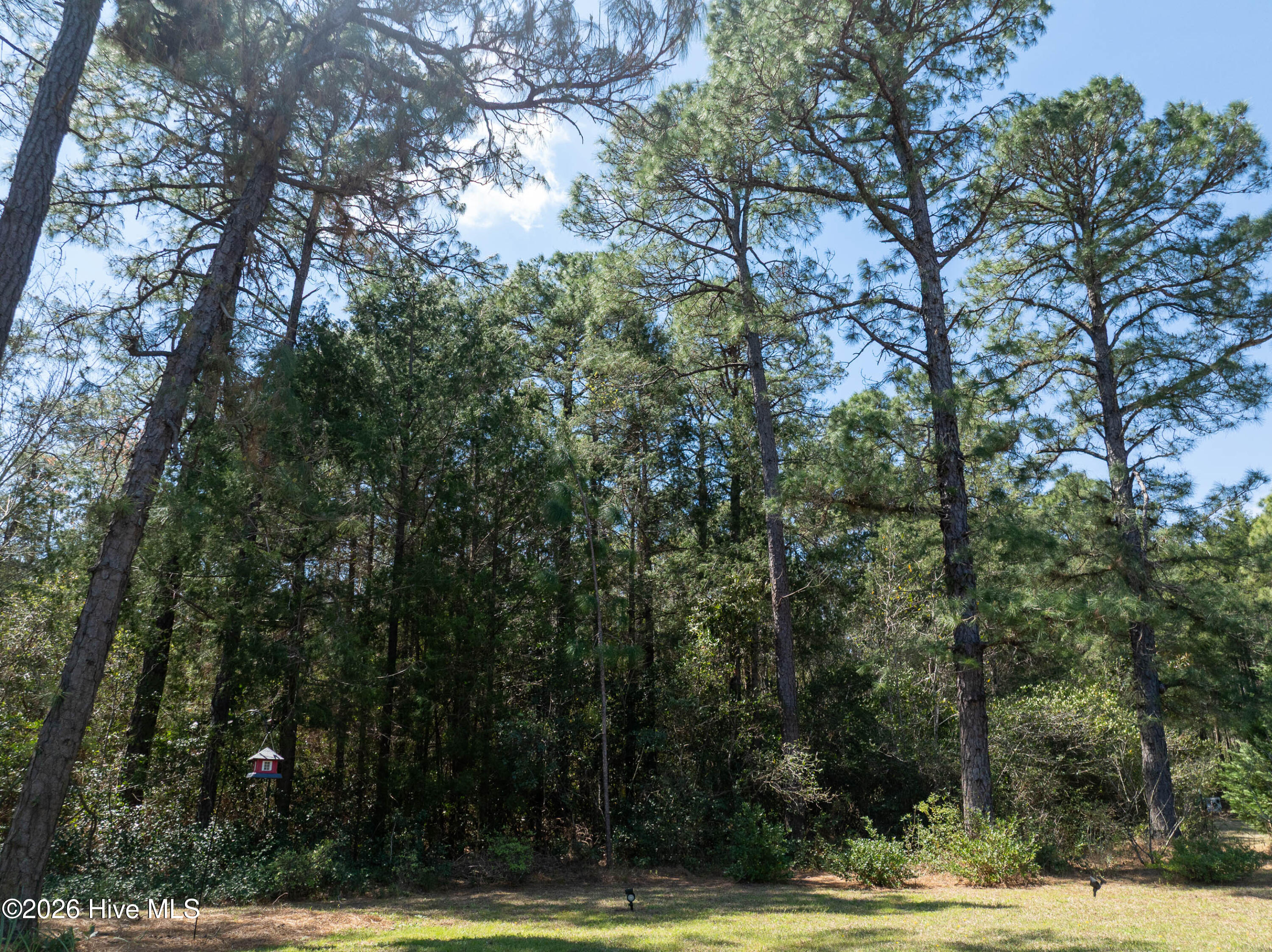 100563576 | Photo 53