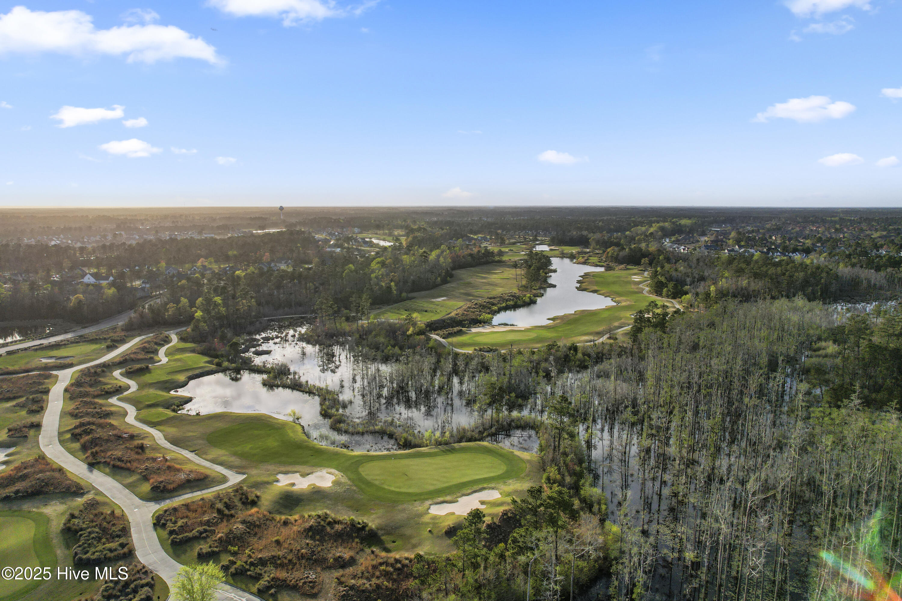 7445 Linda Vista Lane, Leland, NC 28451 – photo 23: Local Golfing