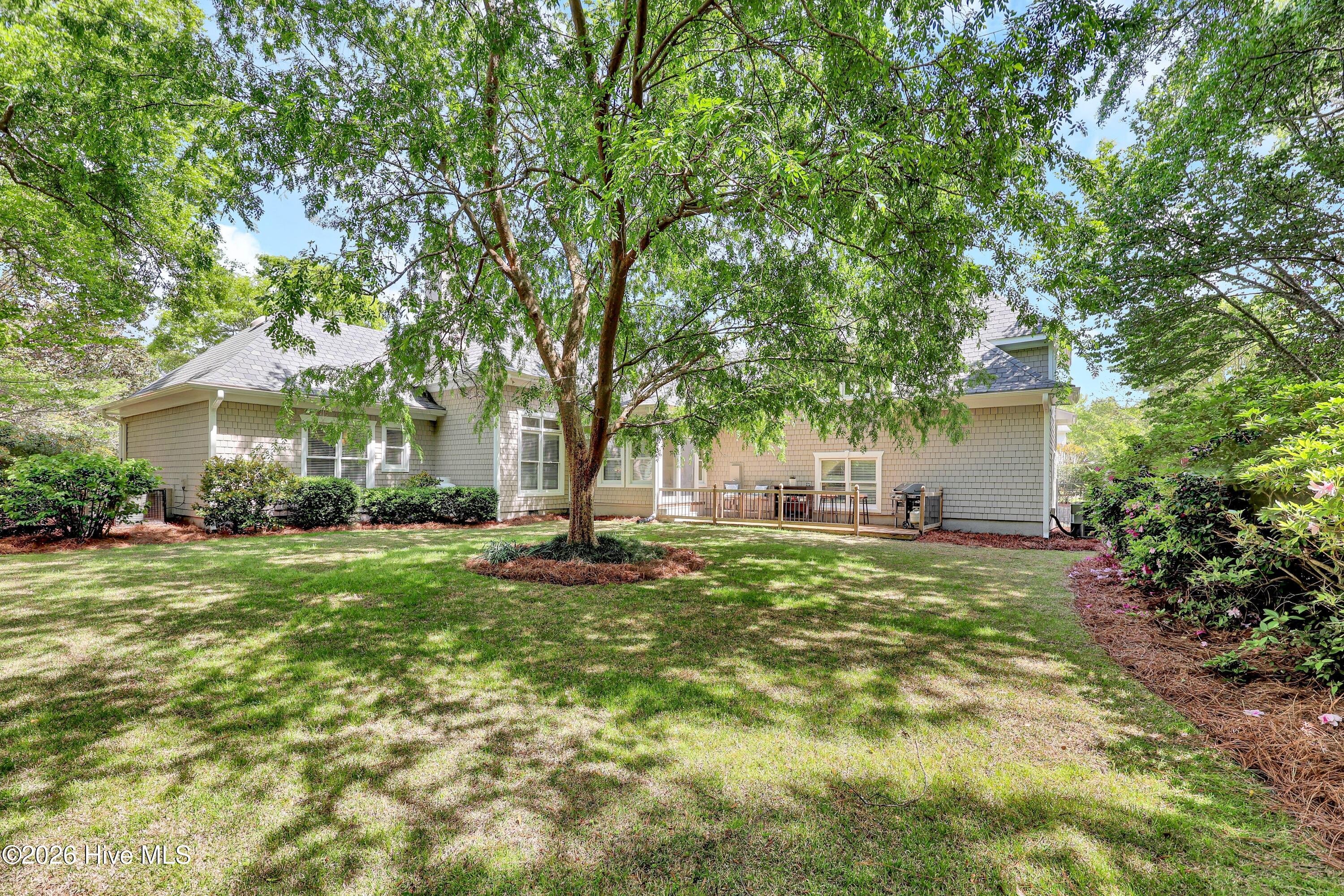 100566013 | Photo 41