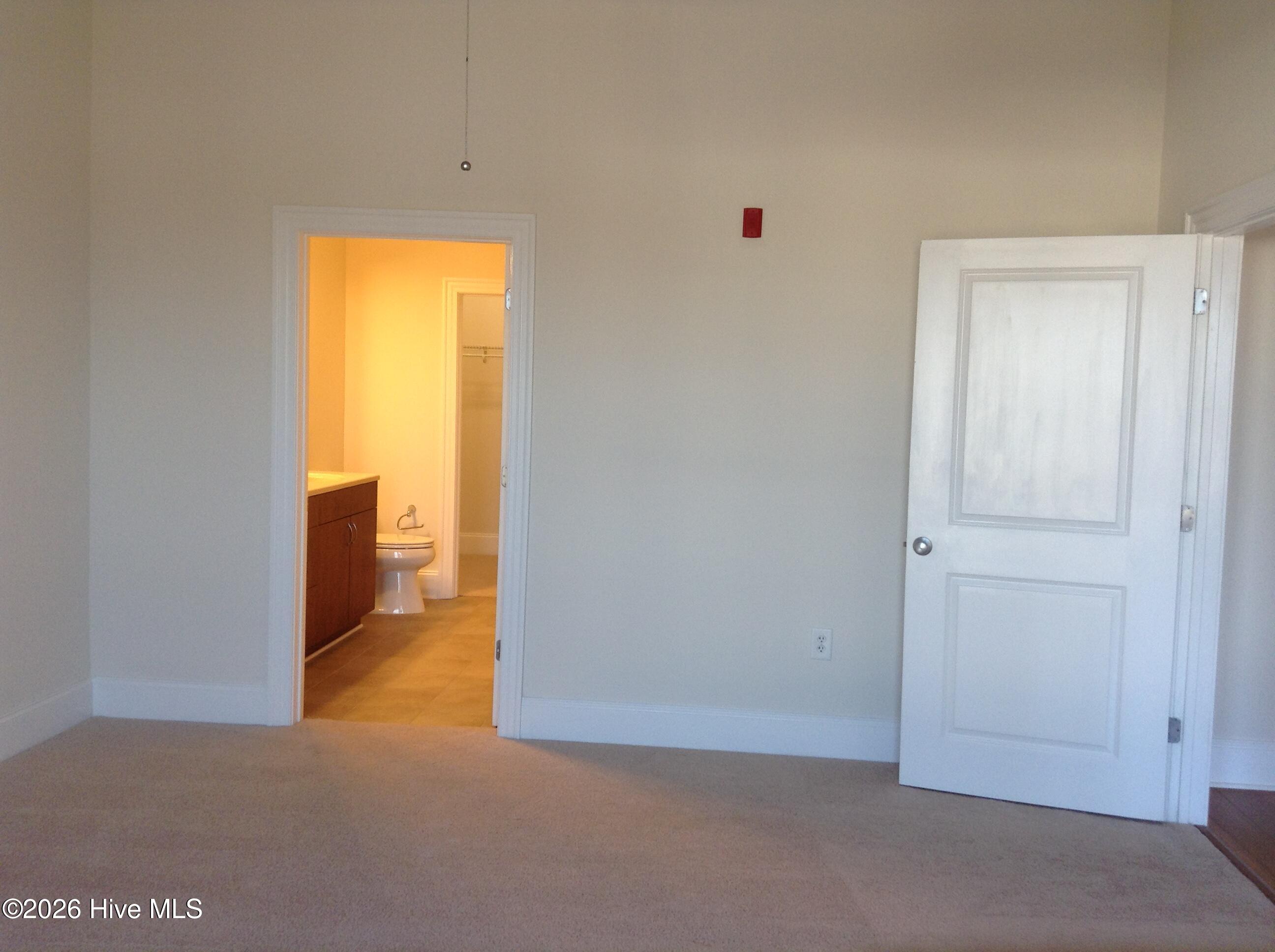 100553173 | Photo 13