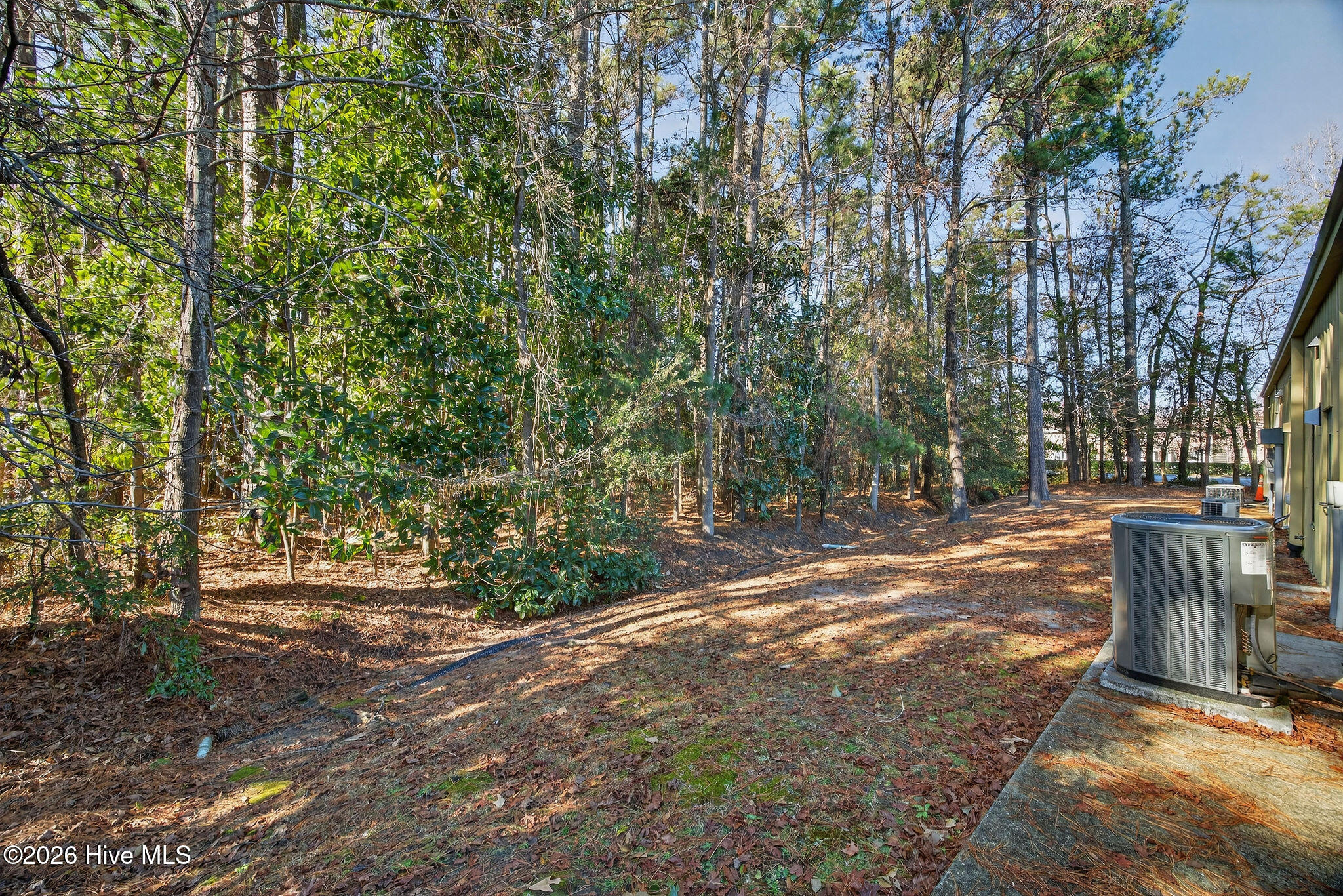 Shirley Johnson - MLS Number: 100549503