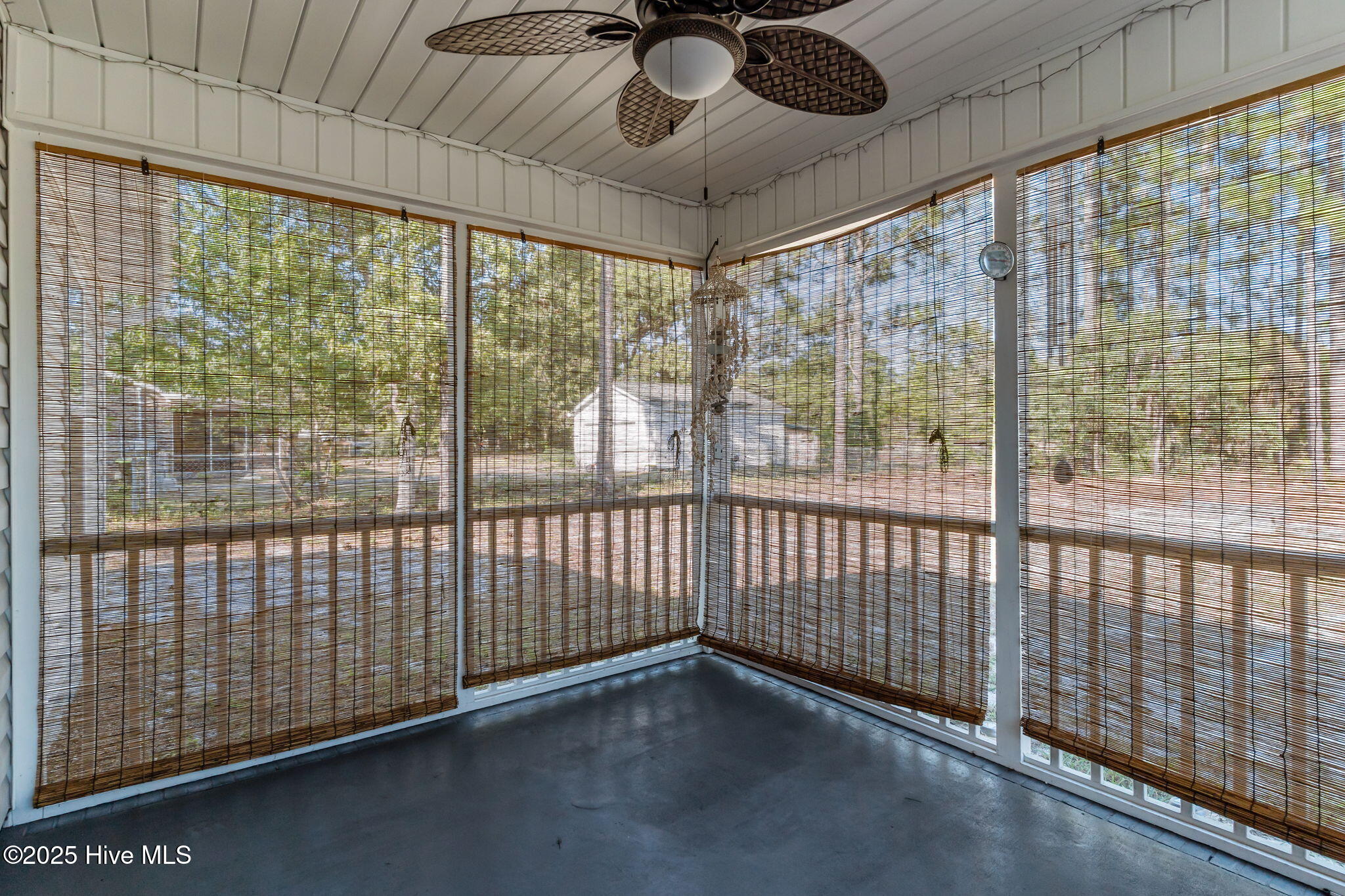 100530347 | Photo 48