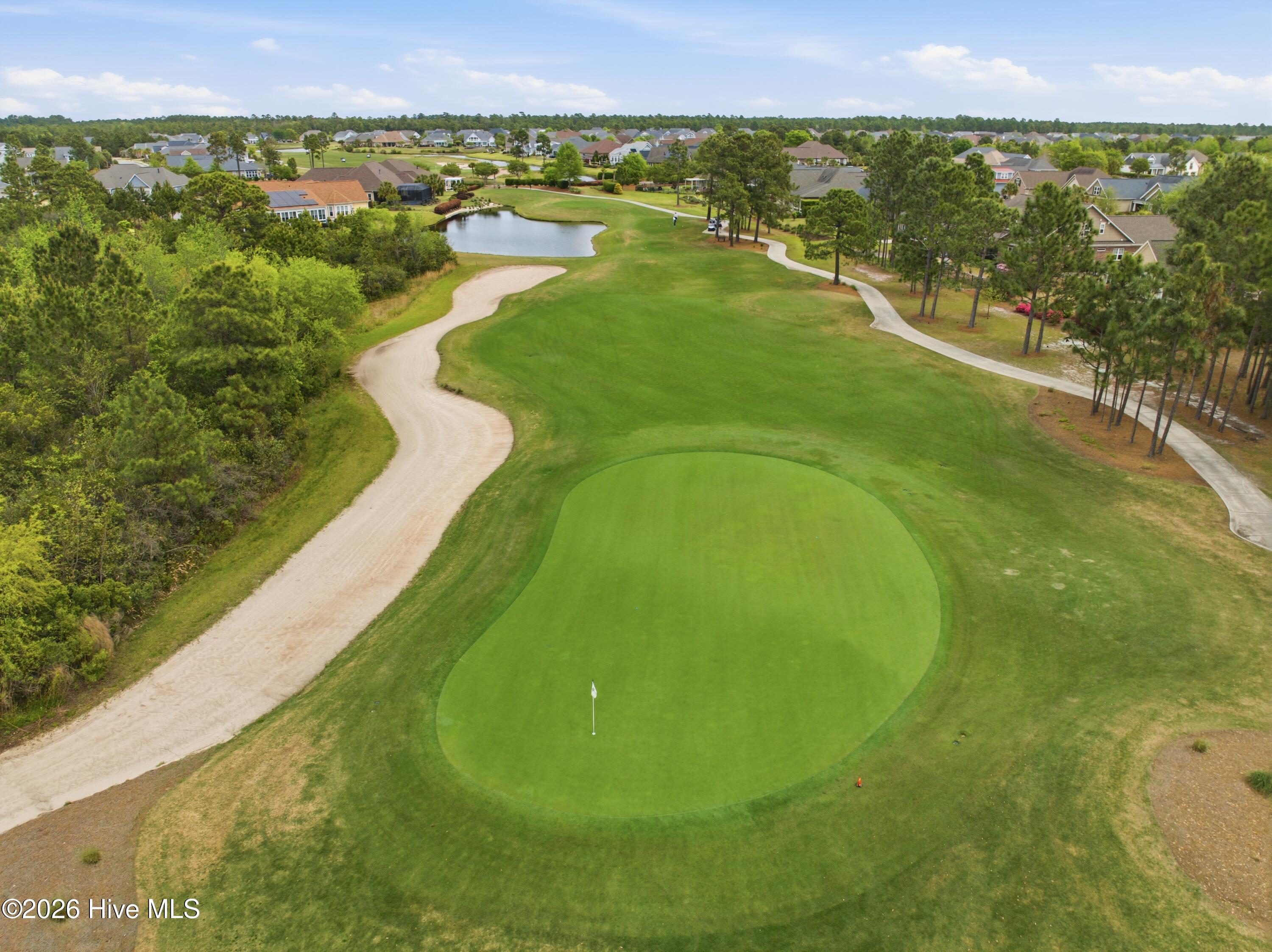 100565162 | Photo 65