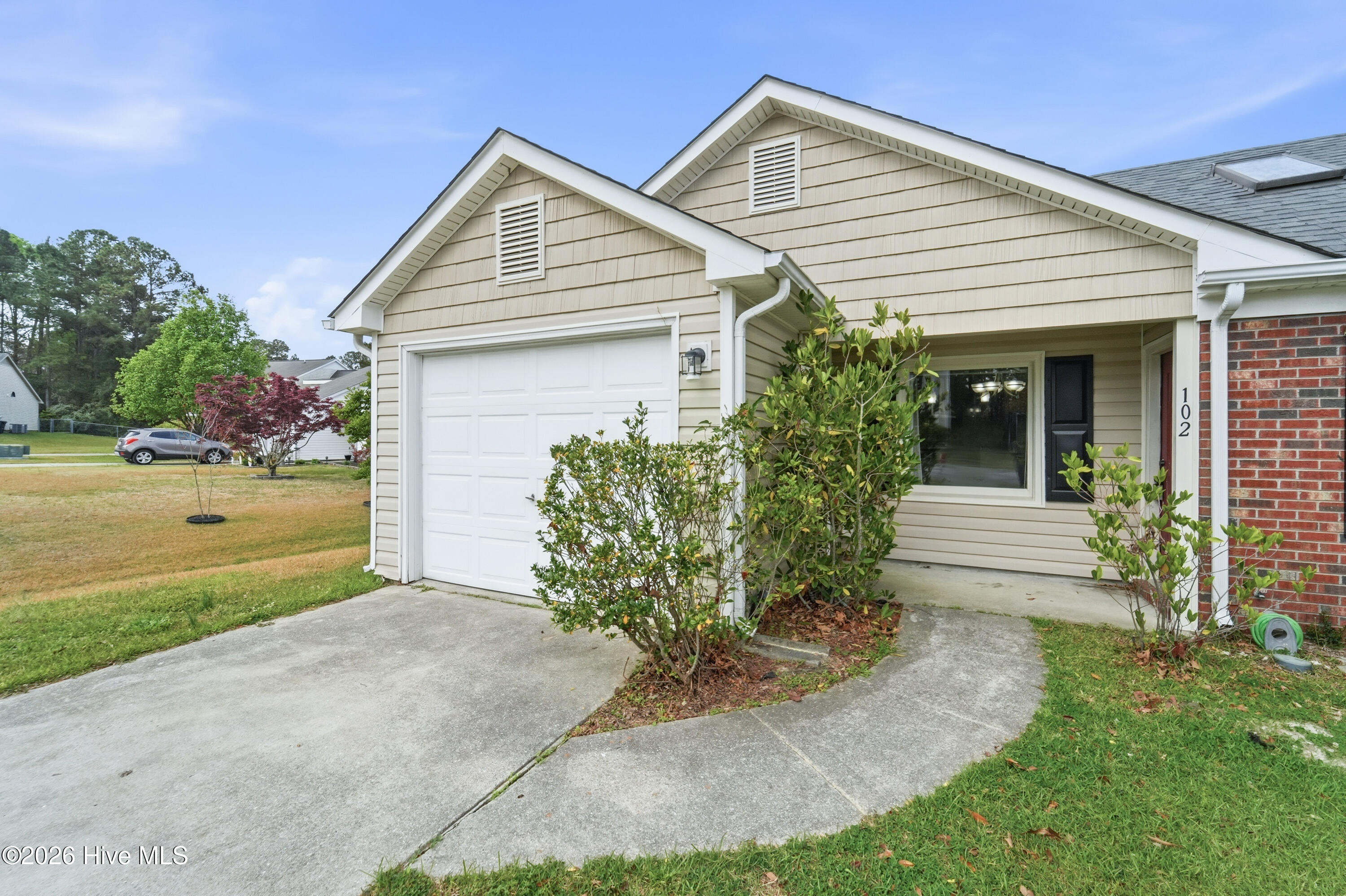 100559067 | Photo 11