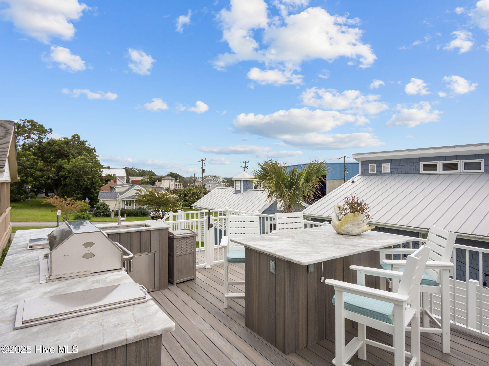 100527166 | Photo 19