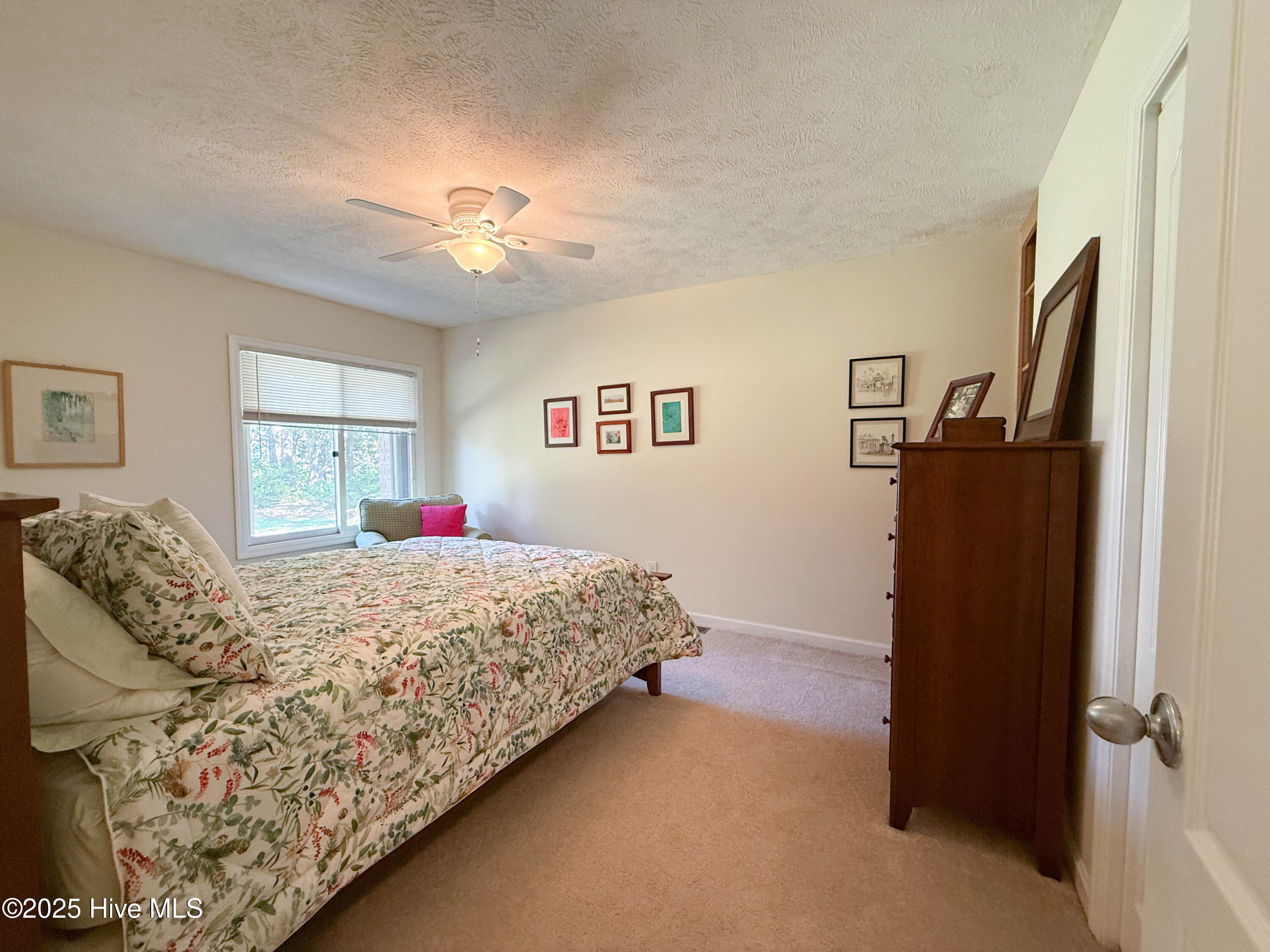 100538841 | Photo 42