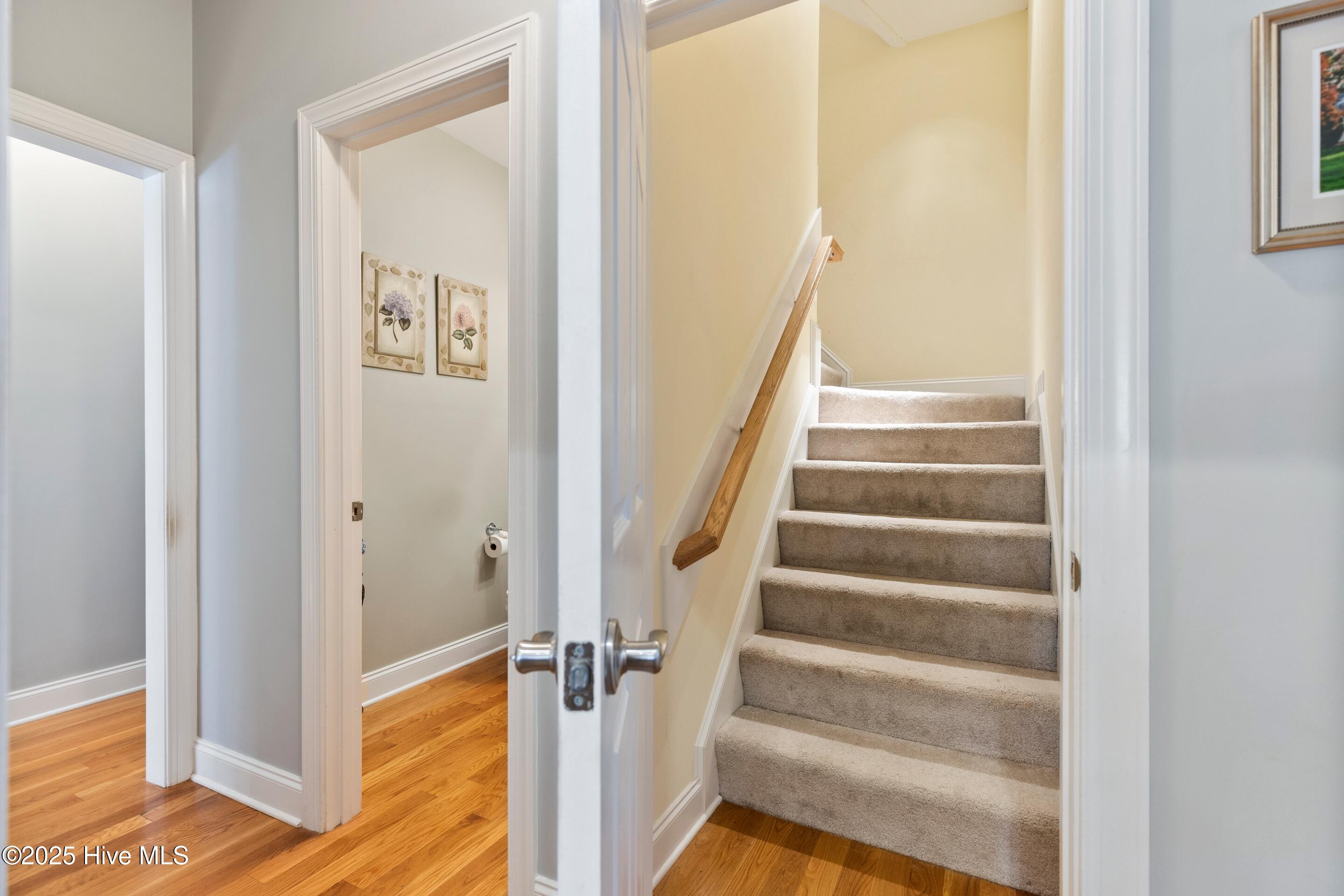 100538376 | Photo 45