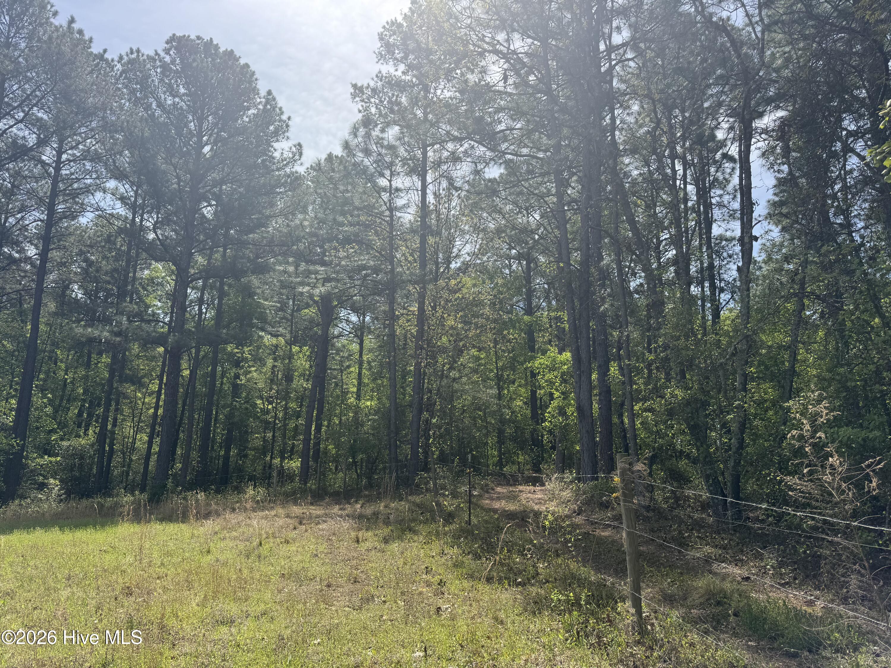 490 Springhill Church Road, Hamlet, NC, 28345