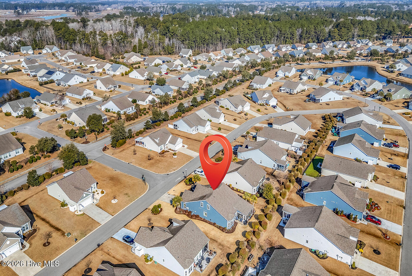 100553360 | Photo 43