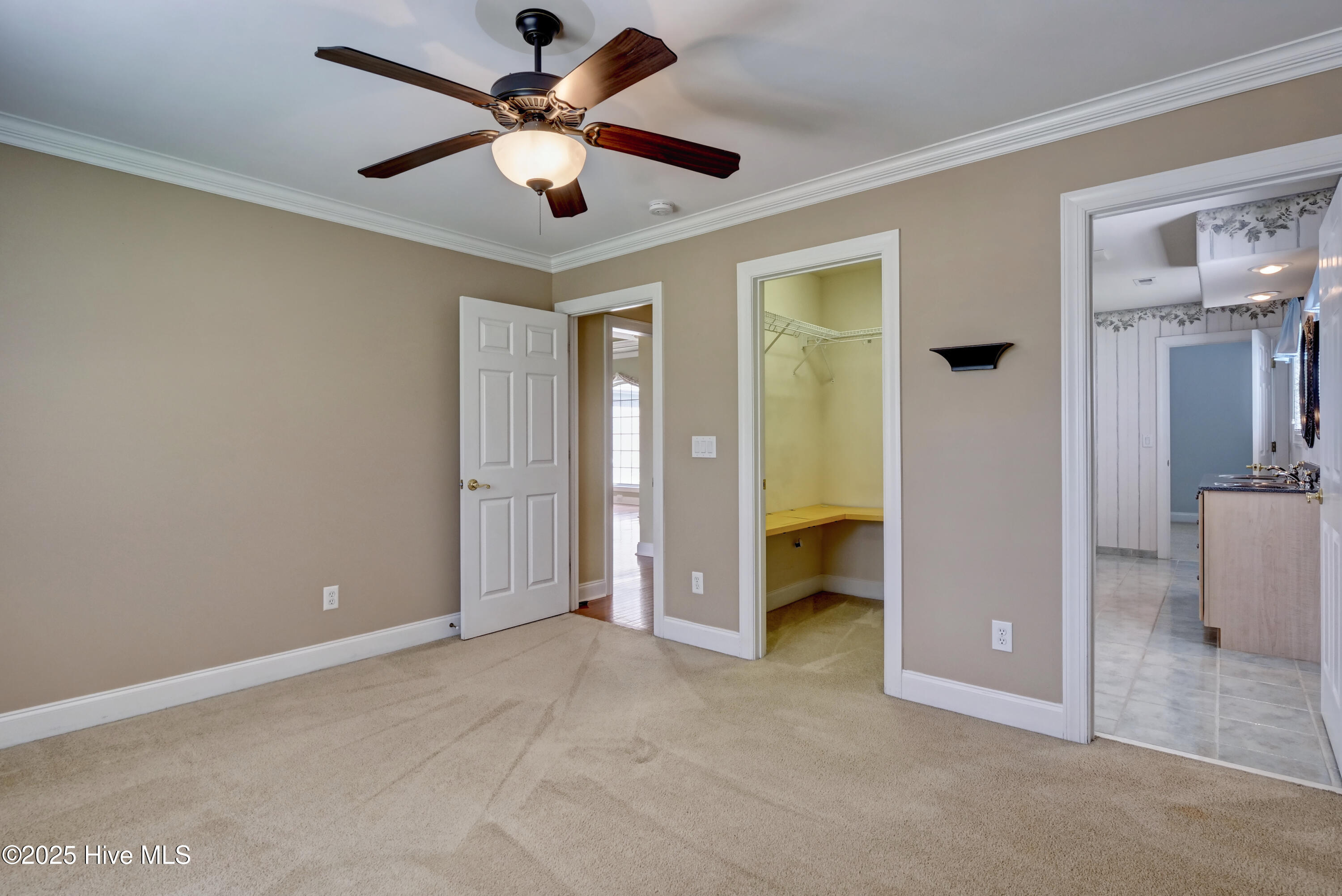 100539909 | Photo 23