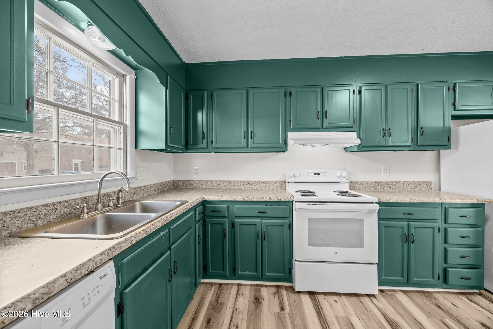 100555869 | Photo 15