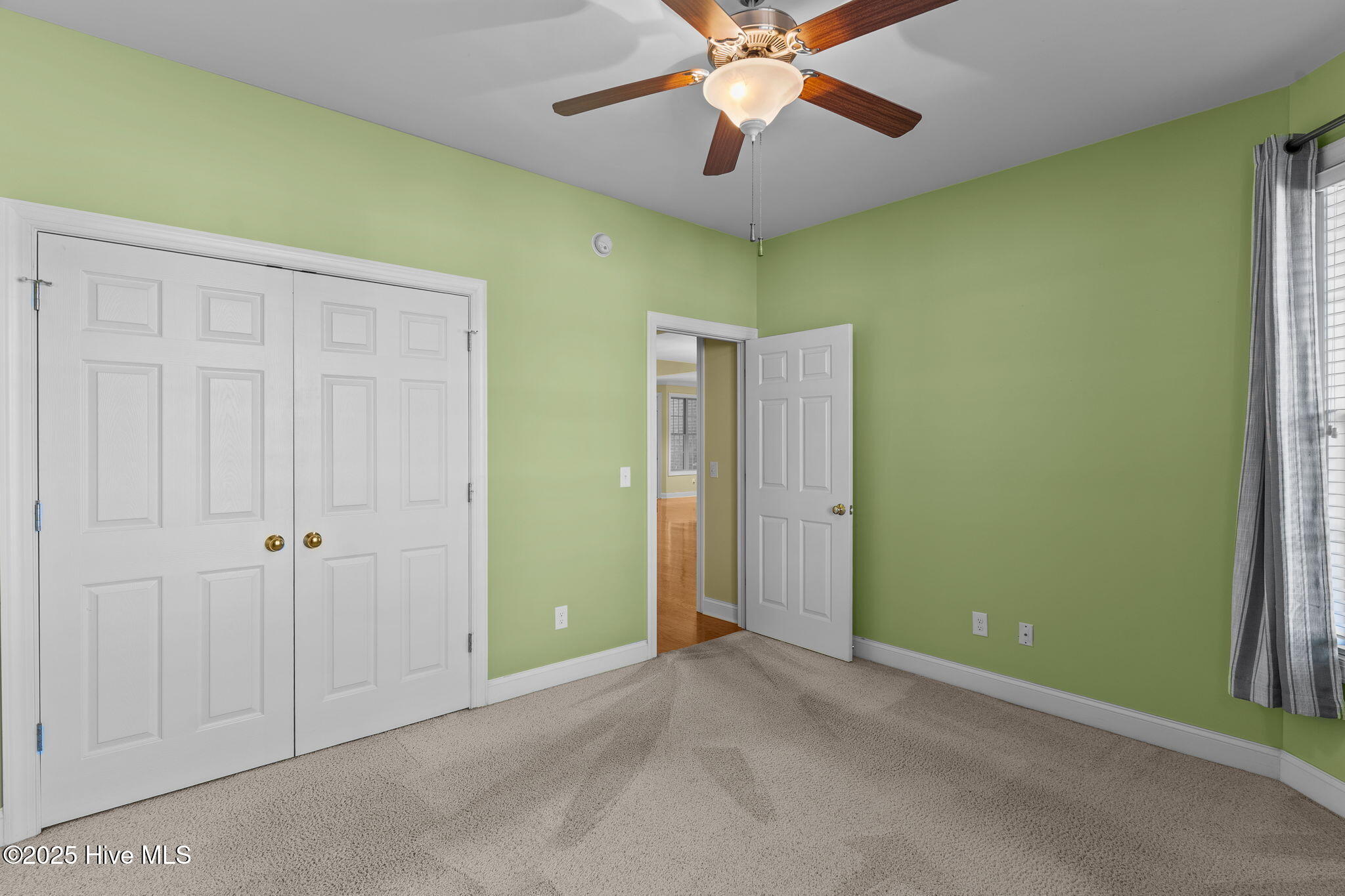 100541169 | Photo 24