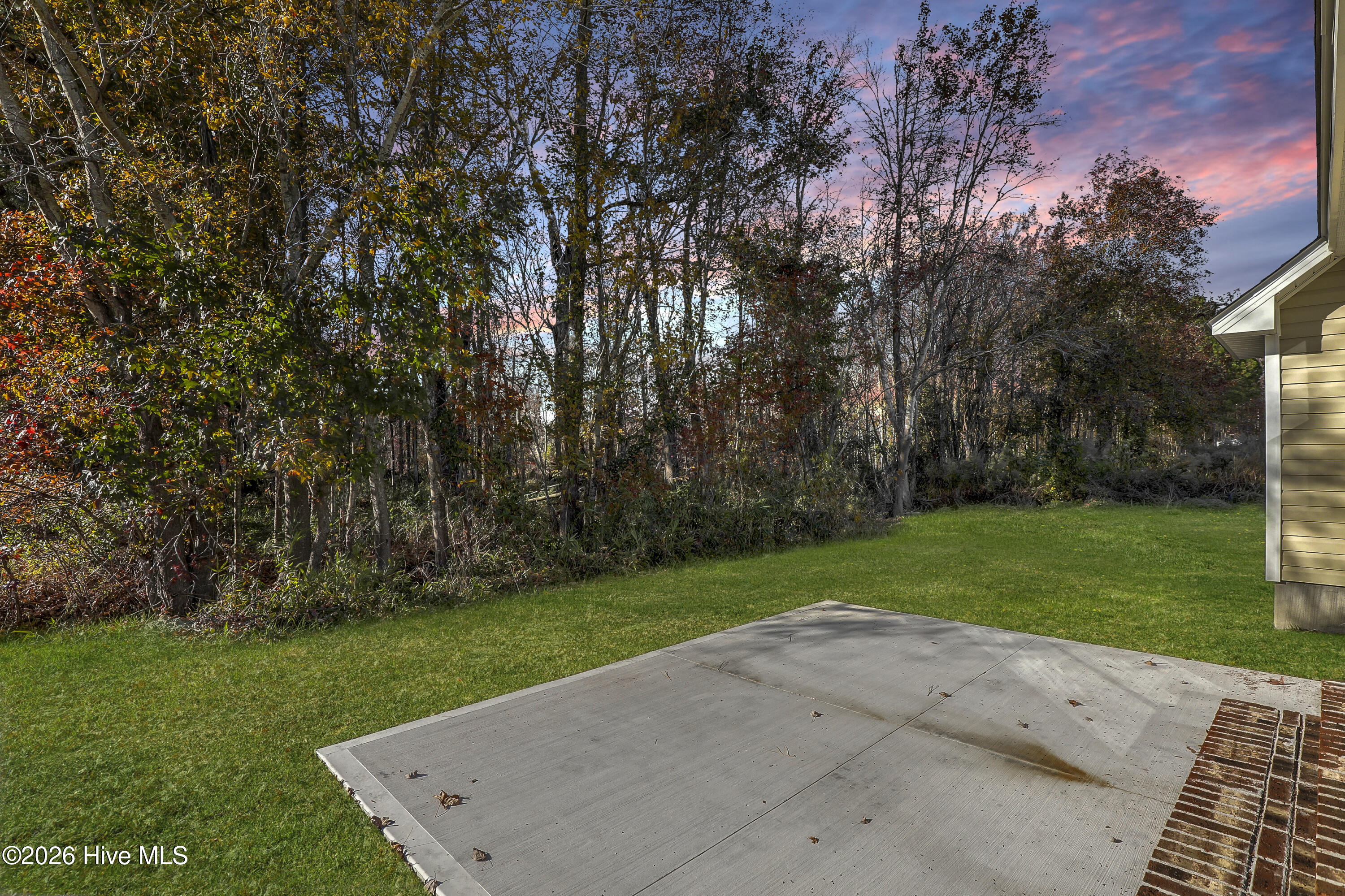 100507419 | Photo 32