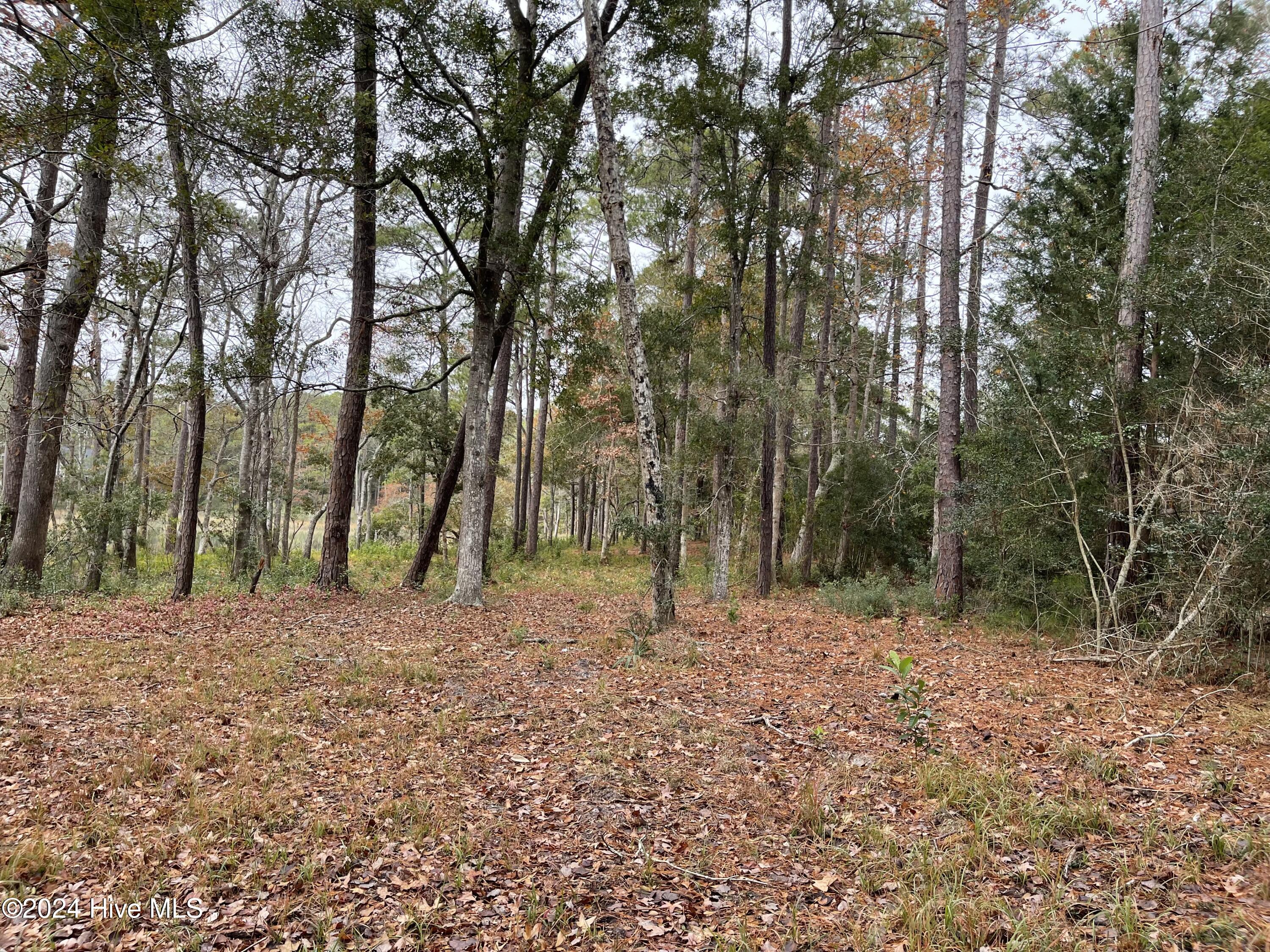 100481360 | Photo 17