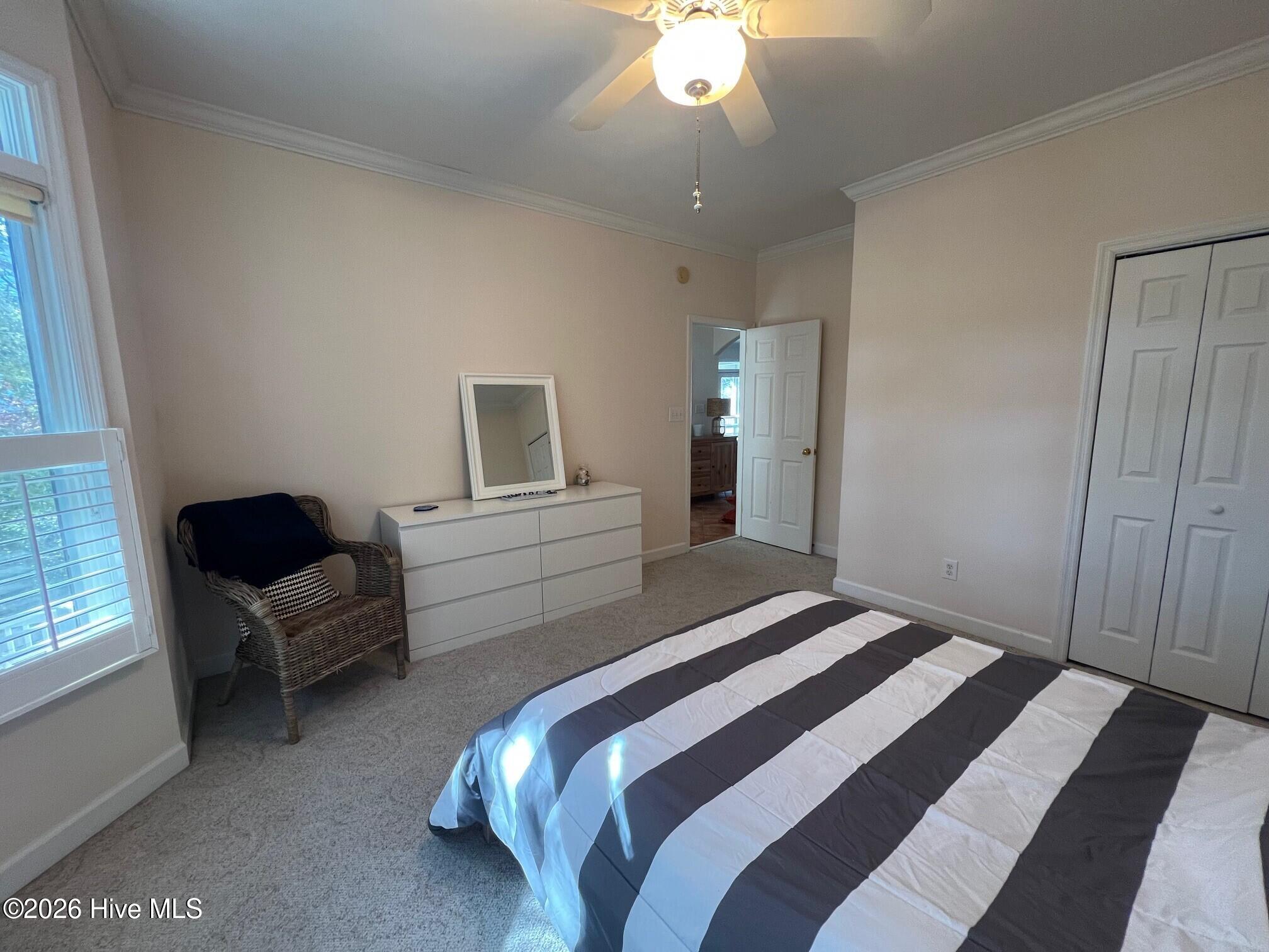 100552871 | Photo 28