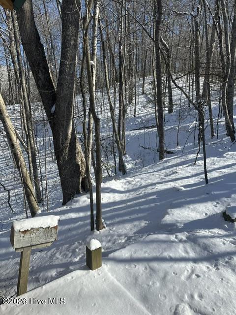 66th image of 305 Junaluska Rd #3 Lots, Topton, NC 28781 | MLS# 98544202