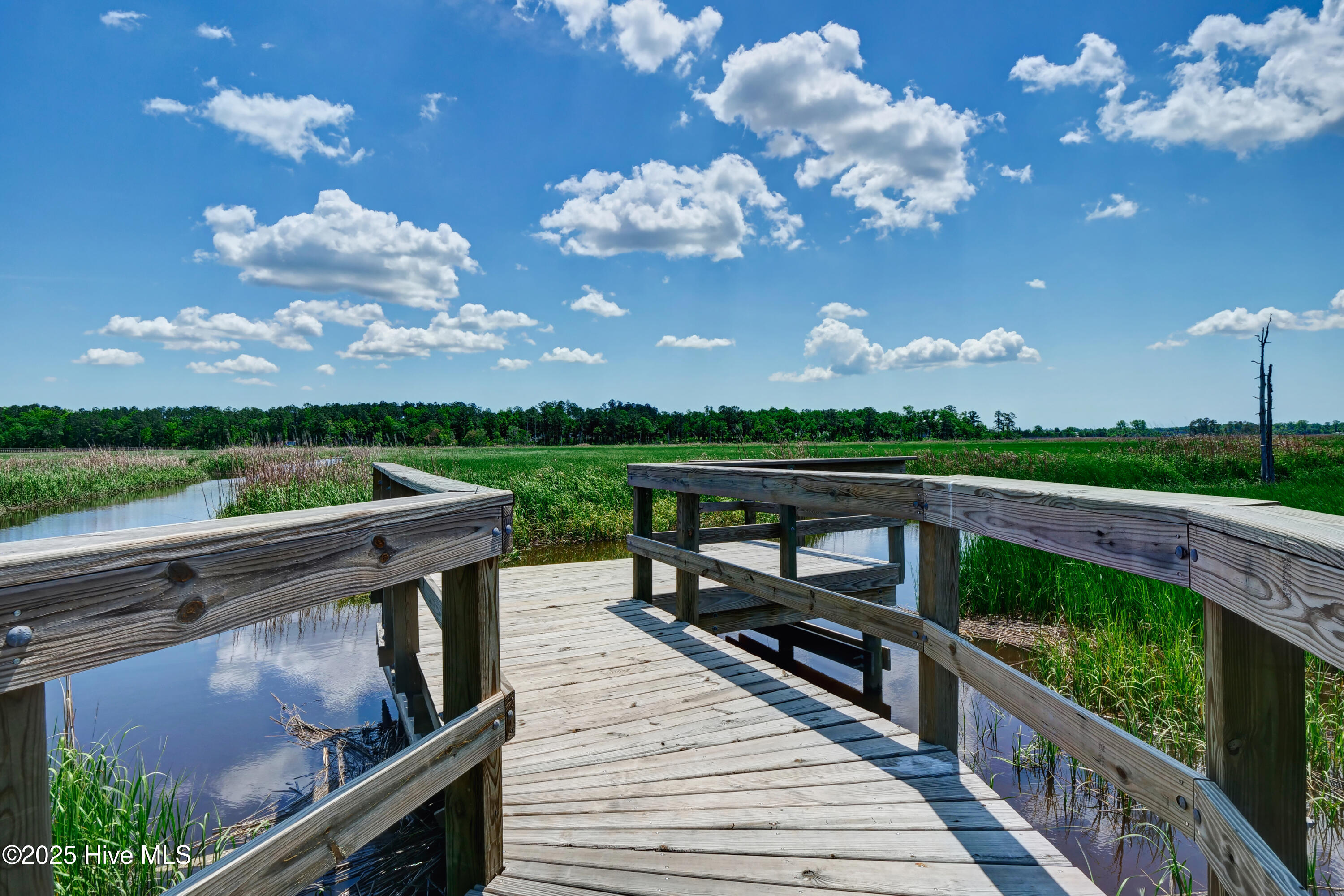 100515676 | Photo 19