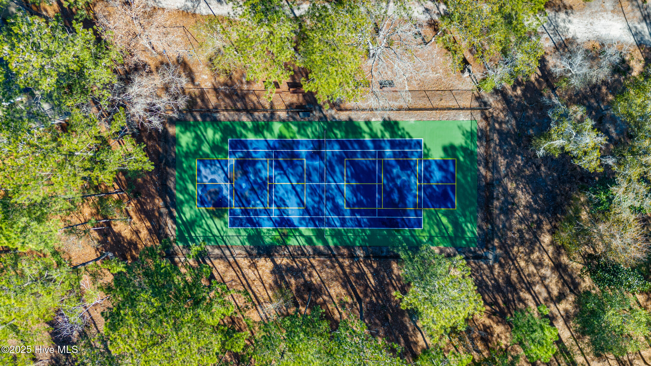 100487206 | Photo 39