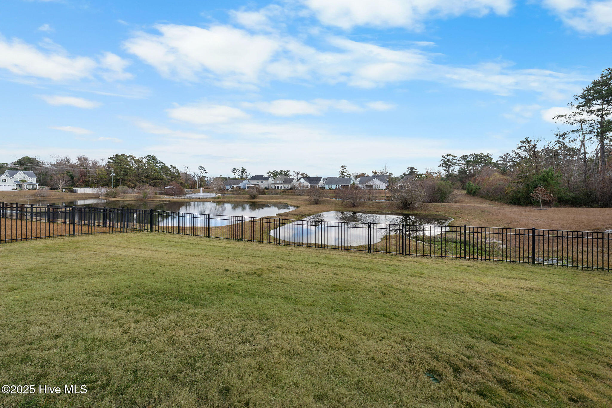 100544124 | Photo 51