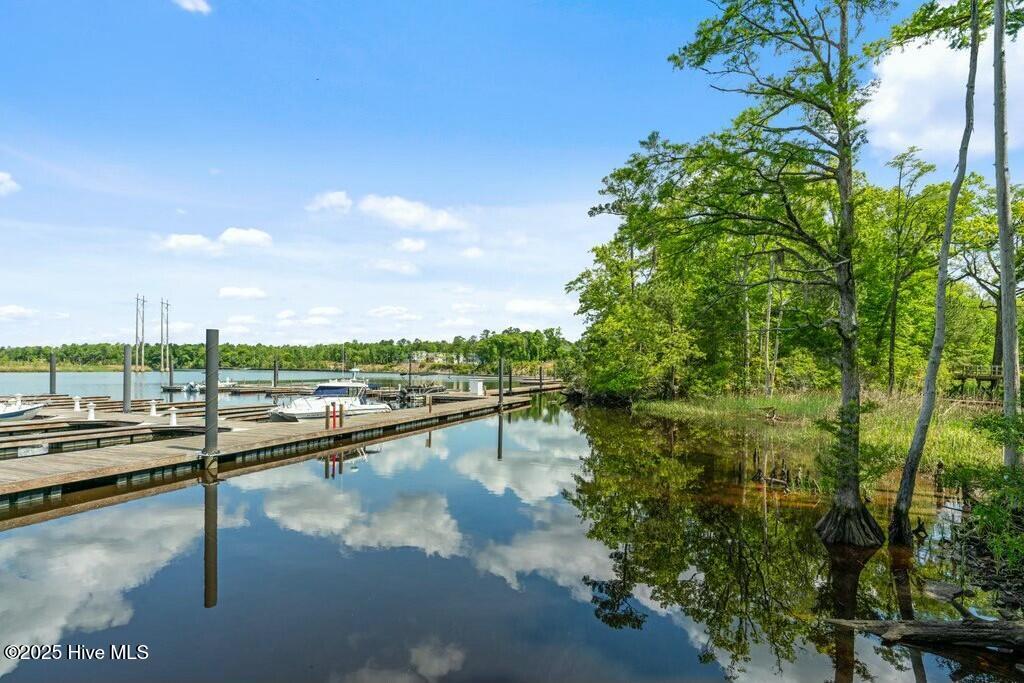 100498490 | Photo 72