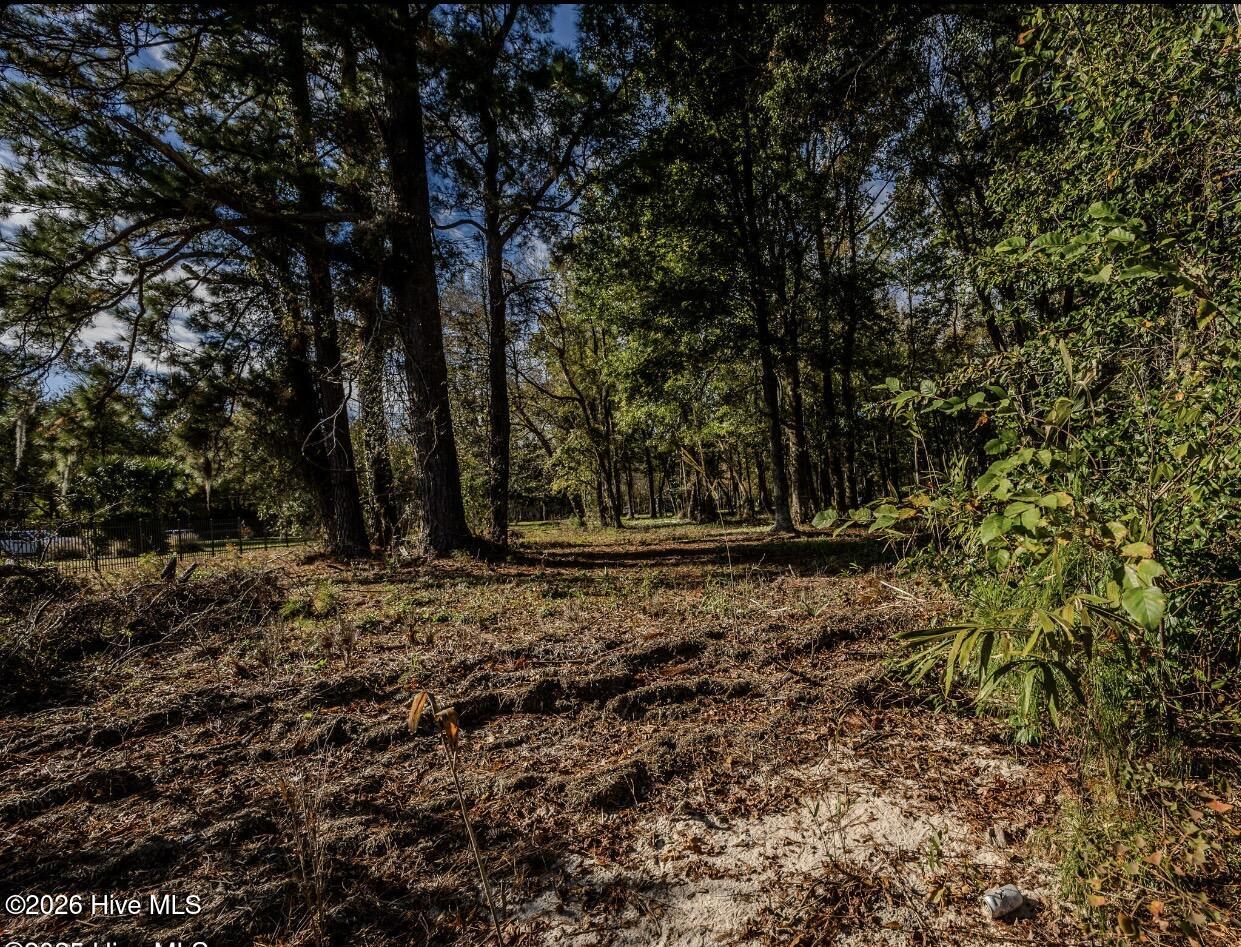 100560316 | Photo 16