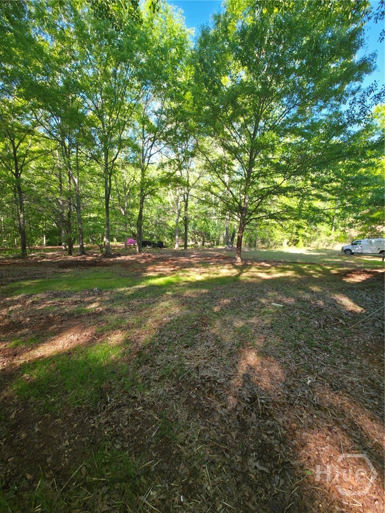 866 Smithonia Road, Winterville, GA, 30683