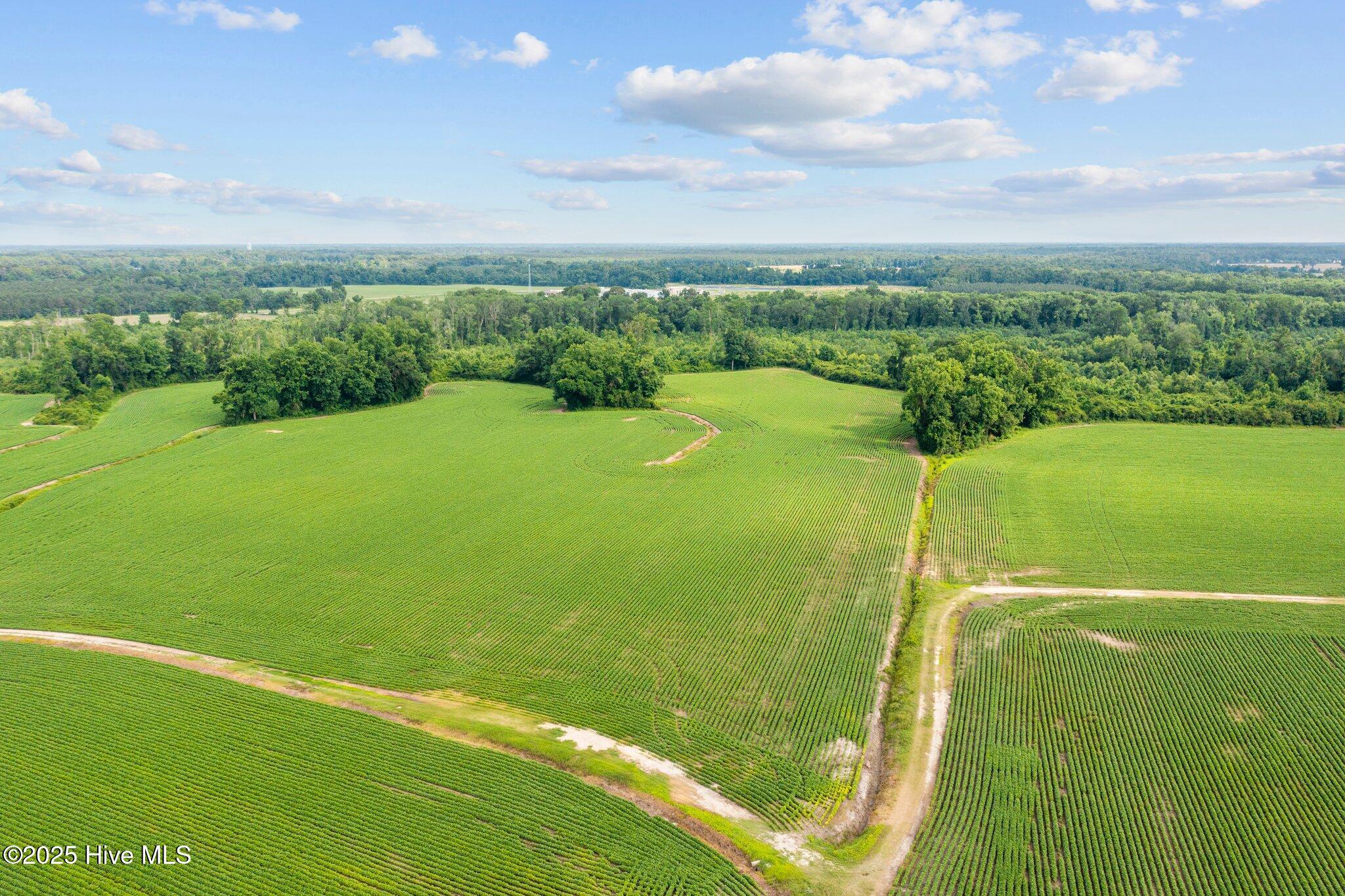 100502618 | Photo 11