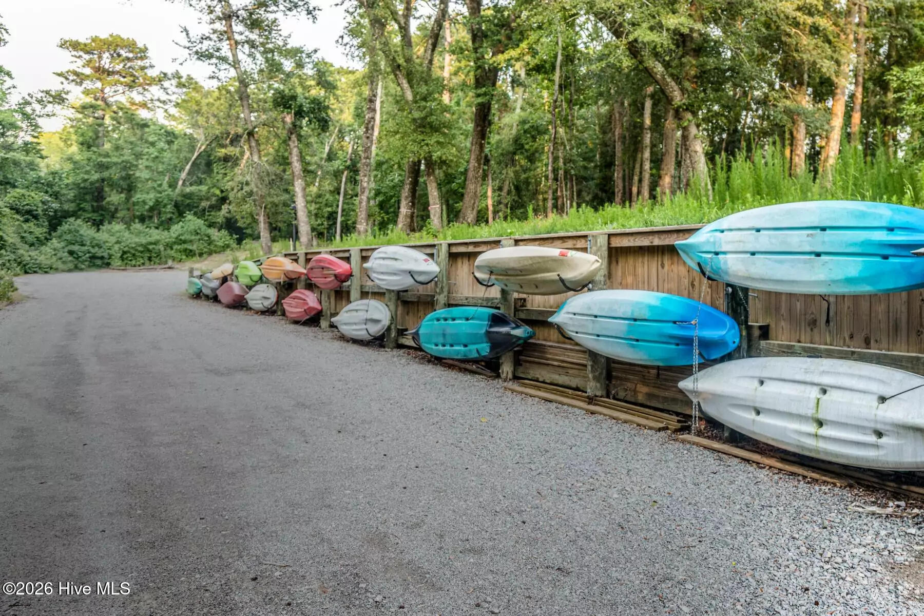 100568555 | Photo 48