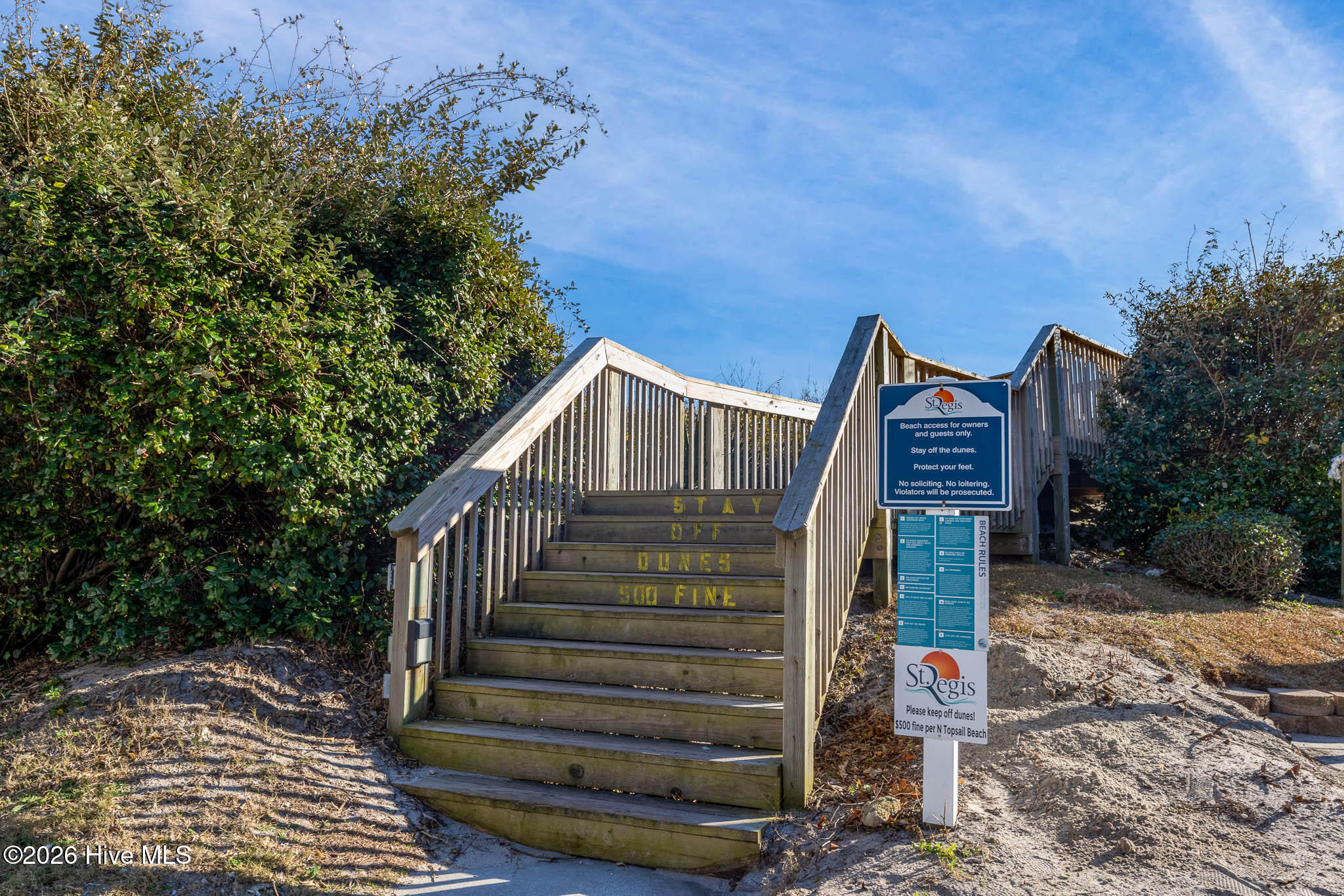 100567274 | Photo 31