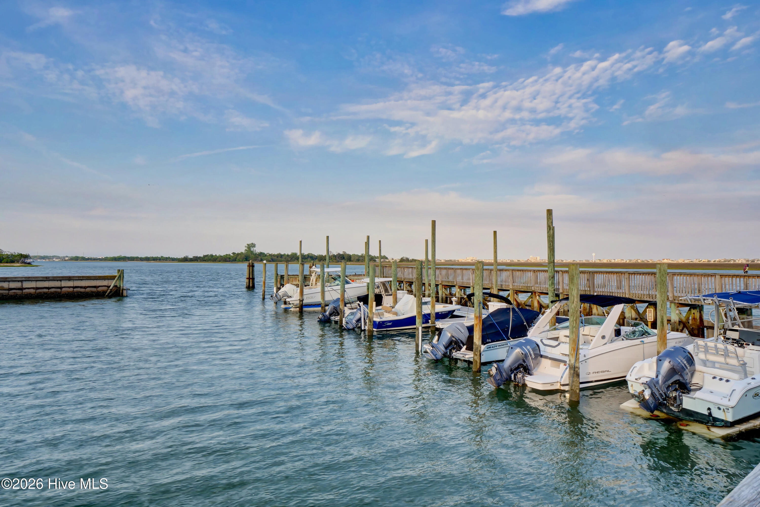 100559715 | Photo 67