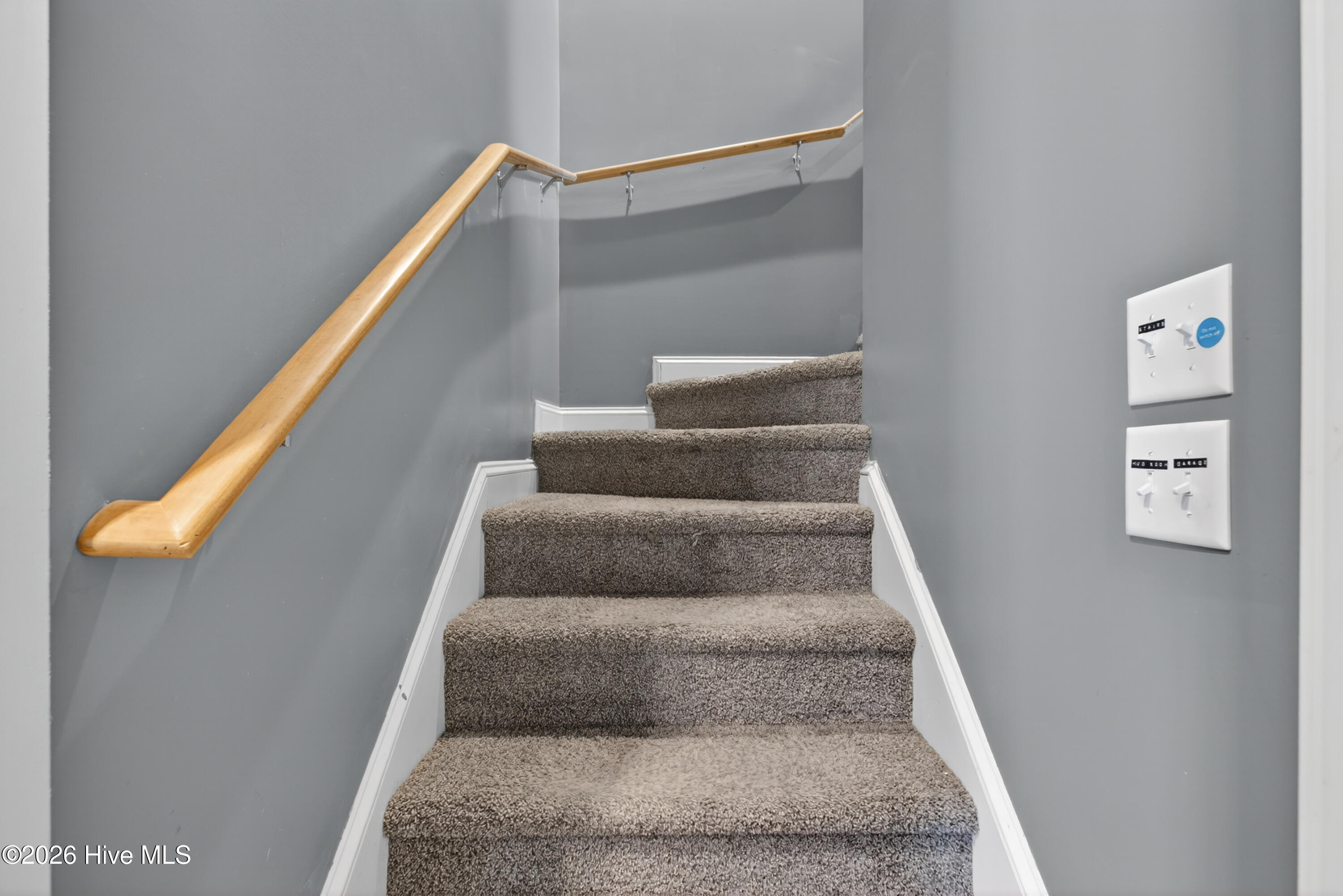 100566078 | Photo 24