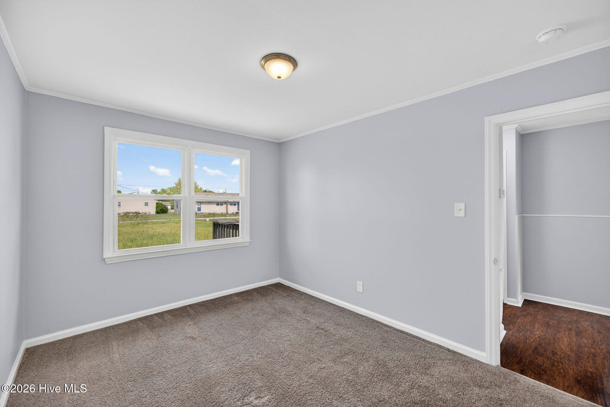 100567273 | Photo 34