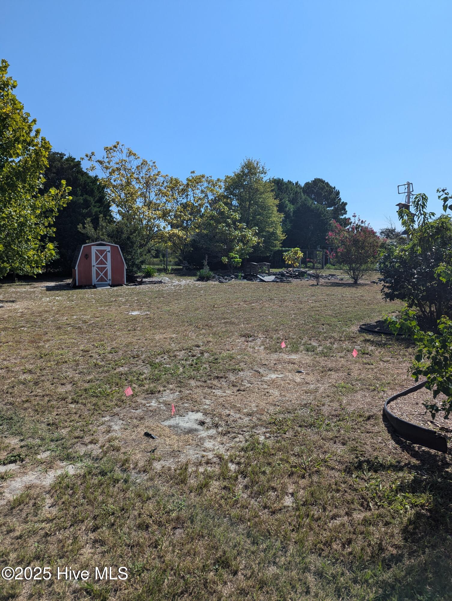 100540612 | Photo 23