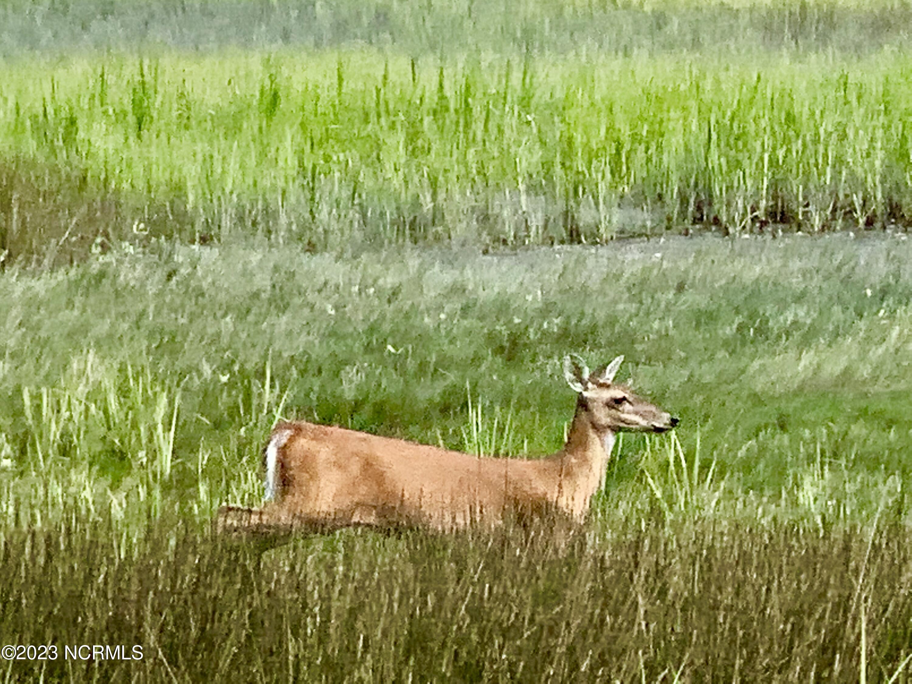 100388234 | Photo 32