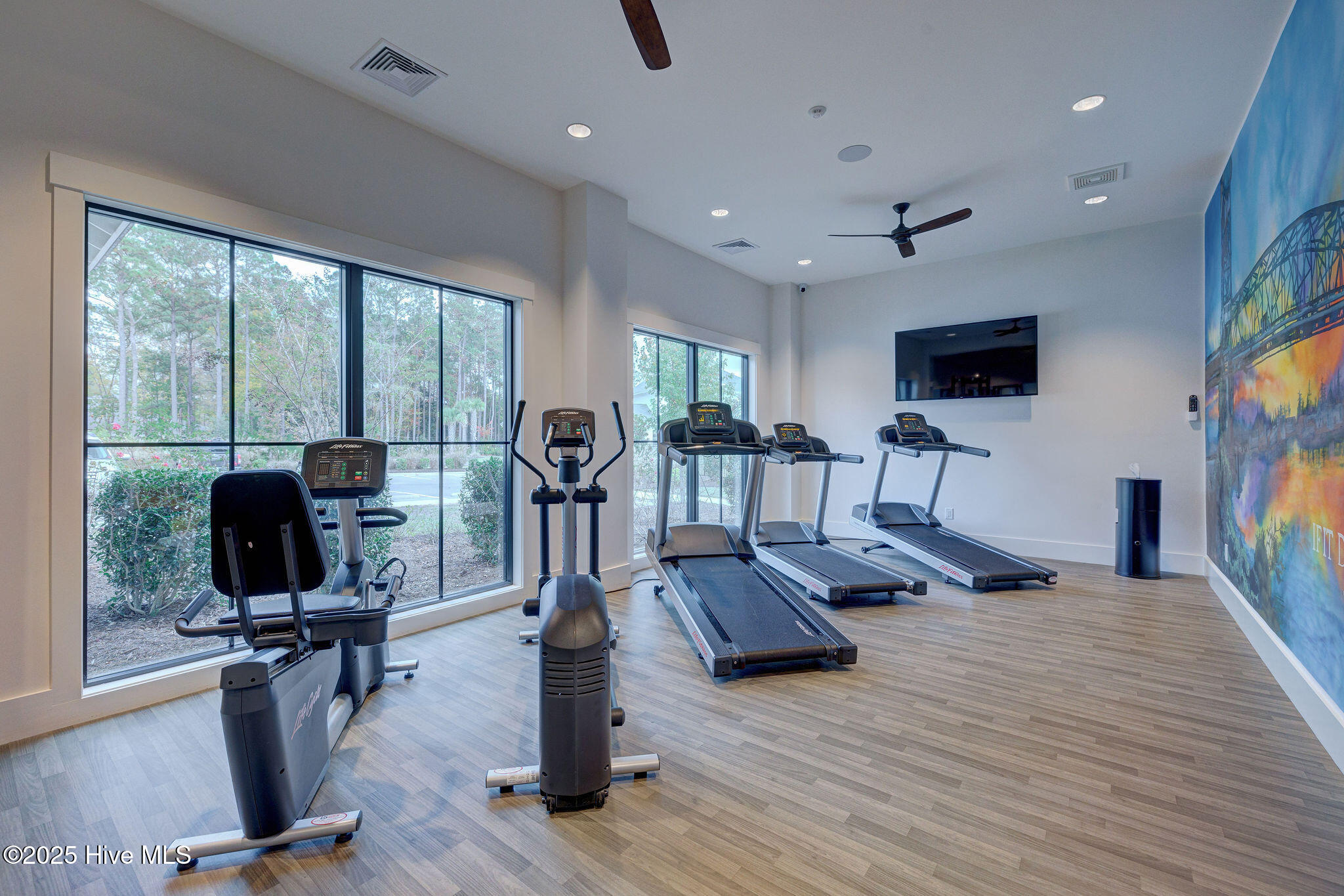 100537676 | Photo 30