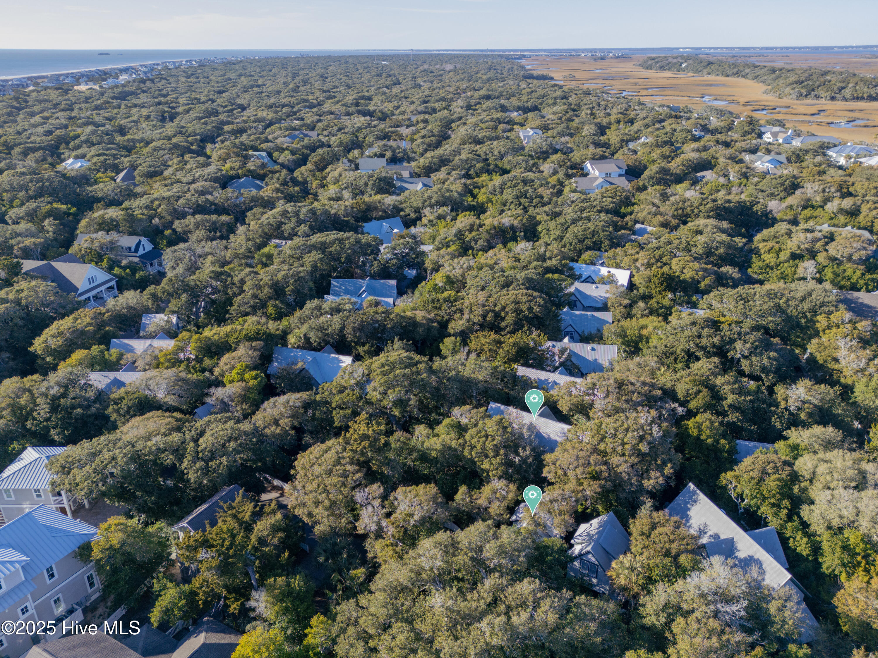 100546585 | Photo 40