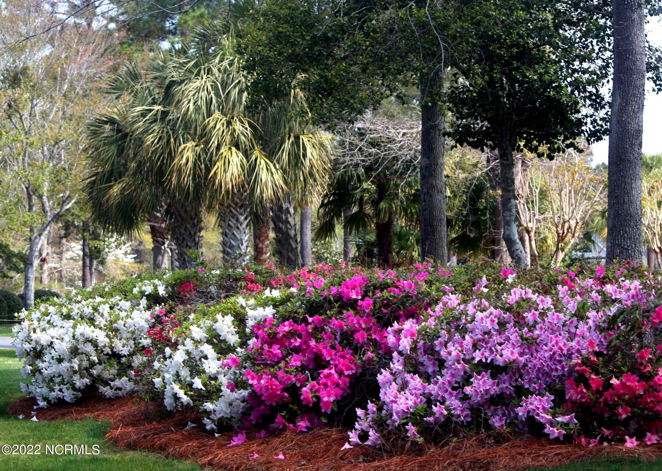 100560329 | Photo 16