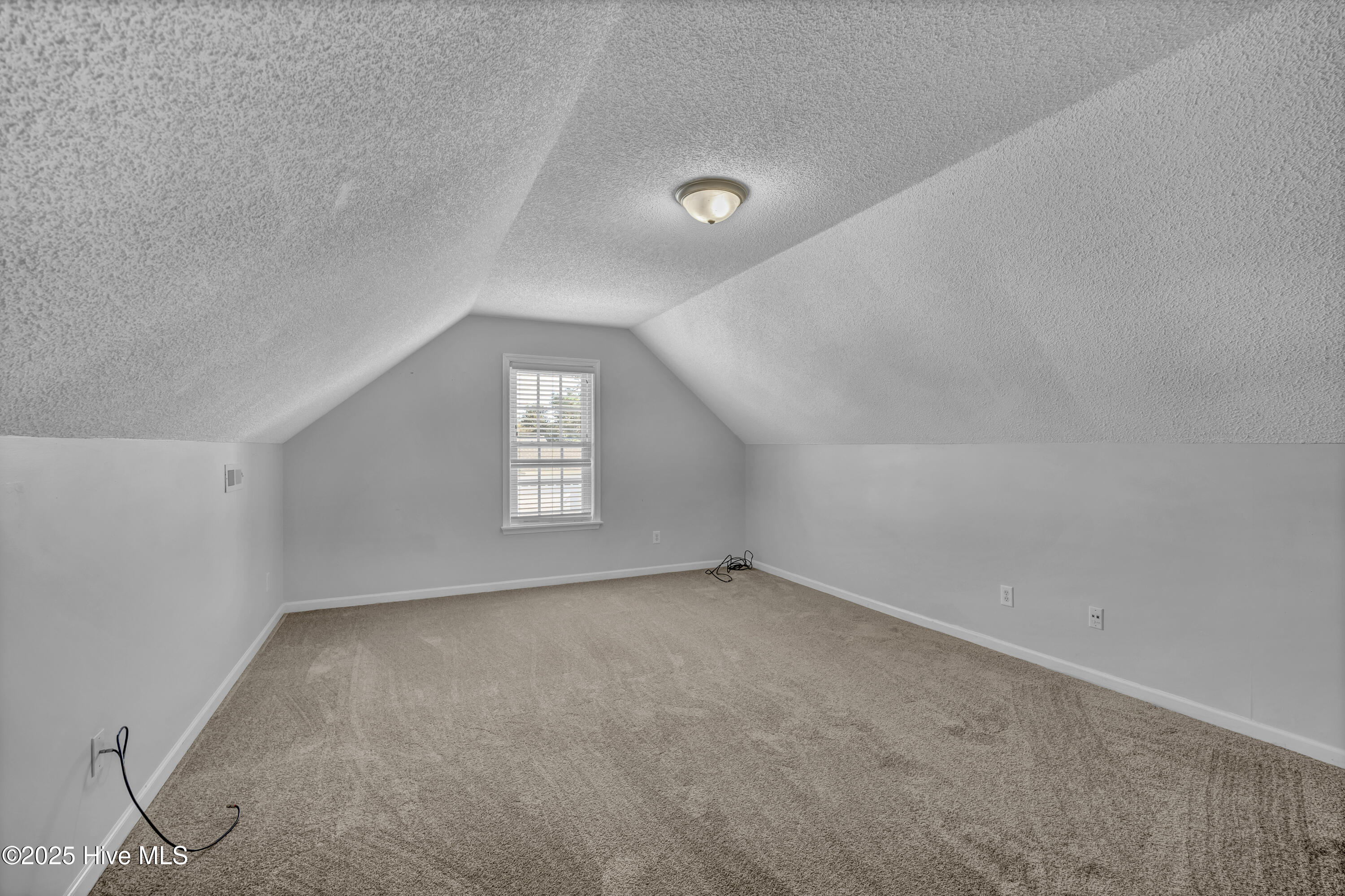 100540259 | Photo 21