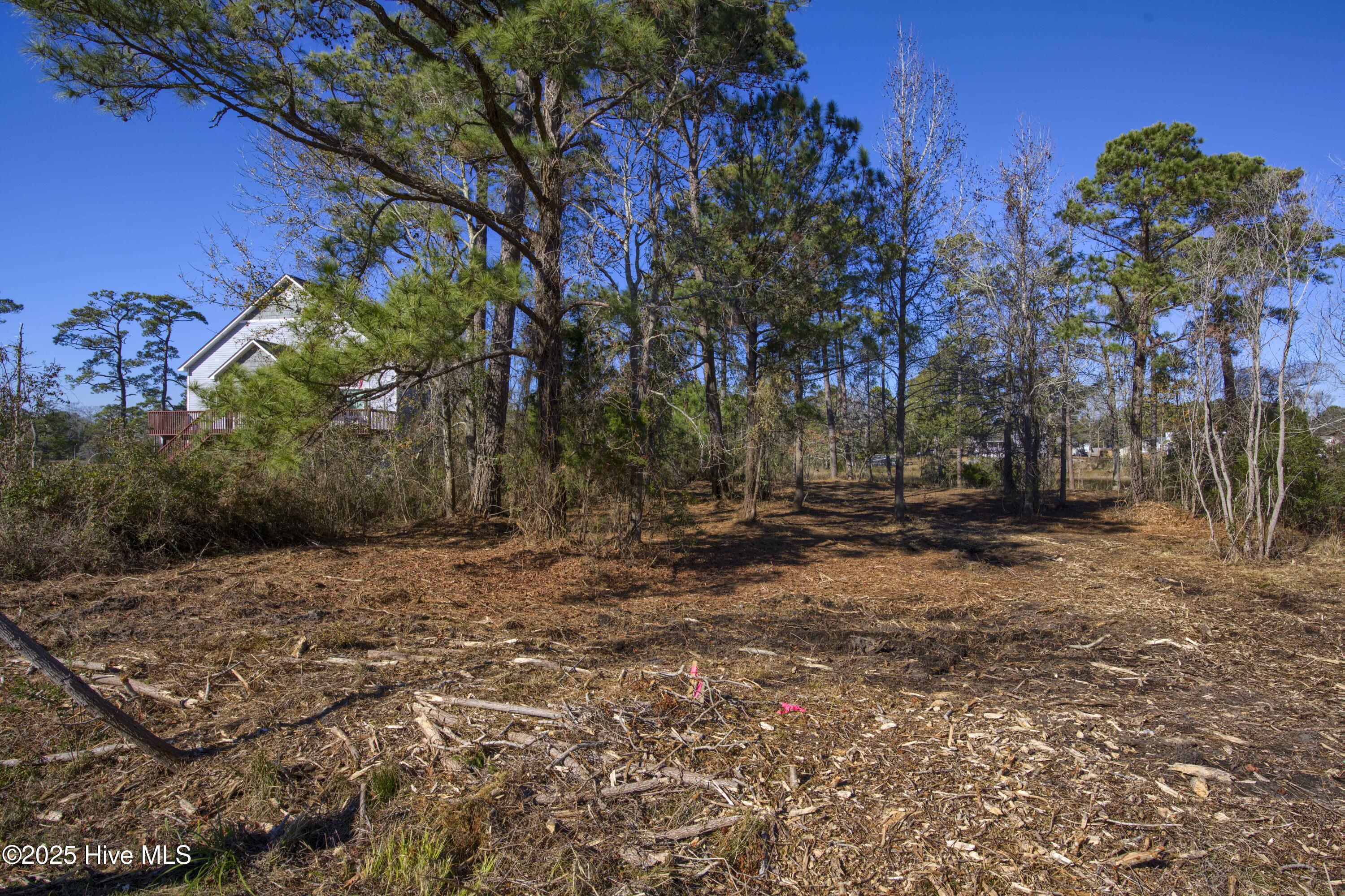 100559086 | Photo 43