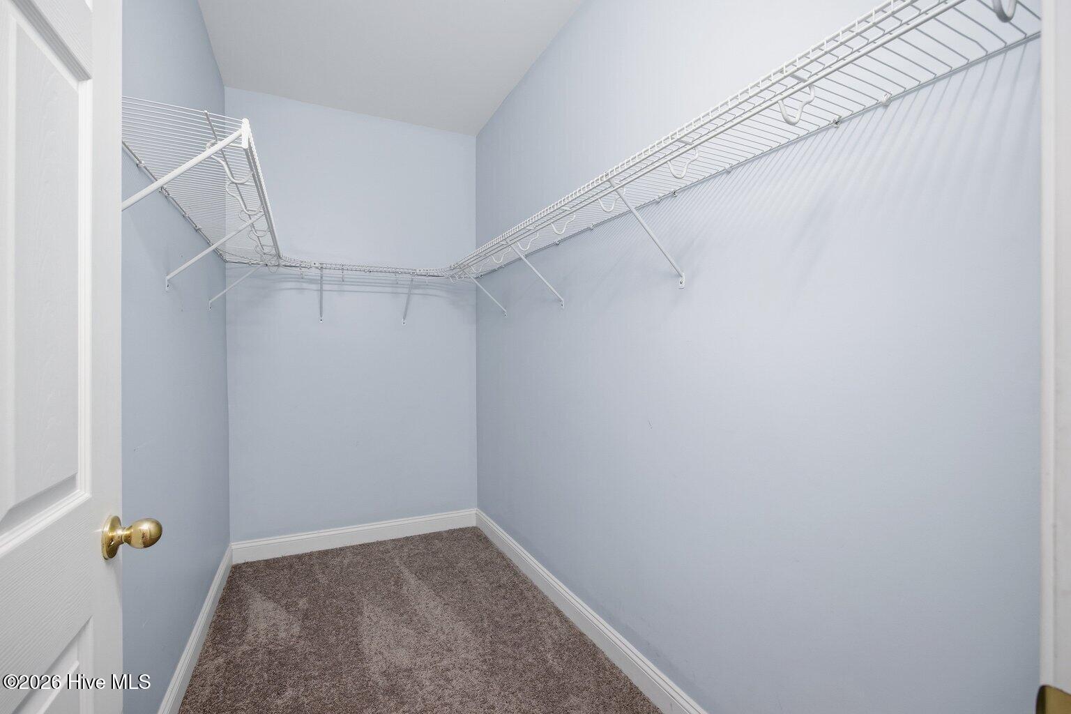 100564958 | Photo 25