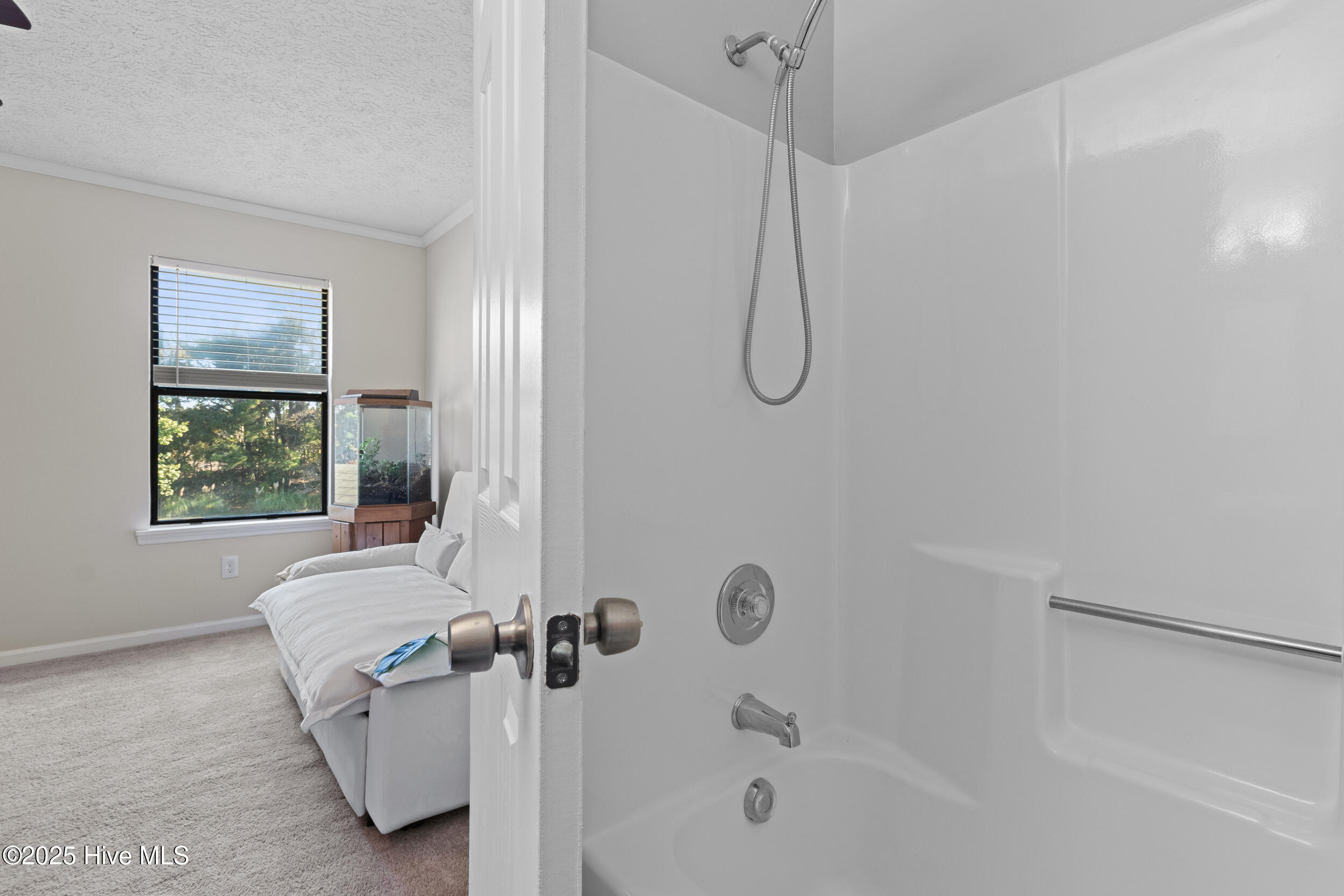 100537542 | Photo 23