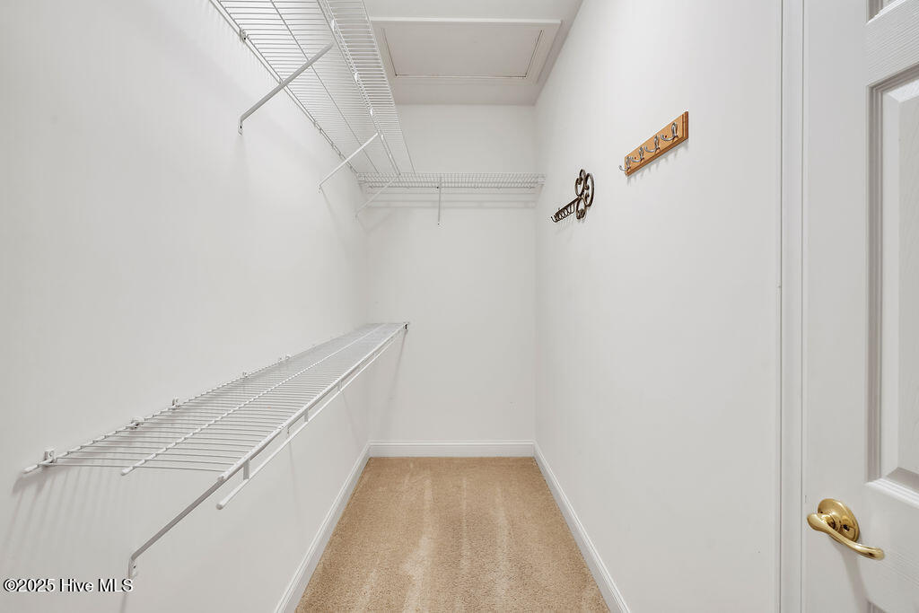 100531684 | Photo 14