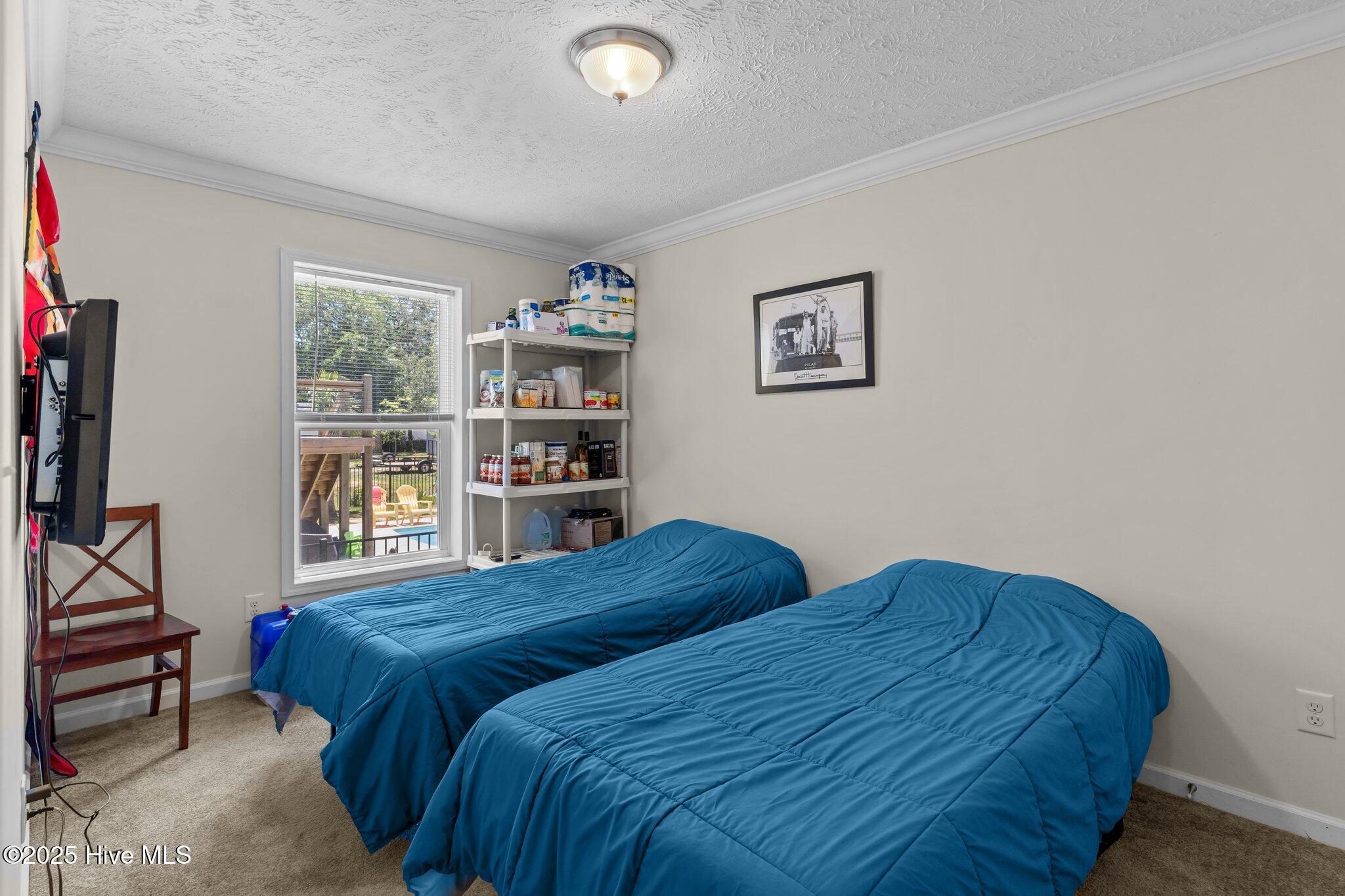 100509442 | Photo 17