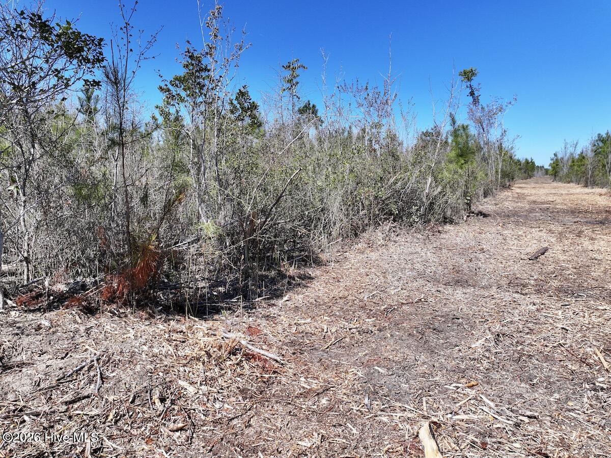 0 Guinea Mill Road, Ernul, NC, 28527