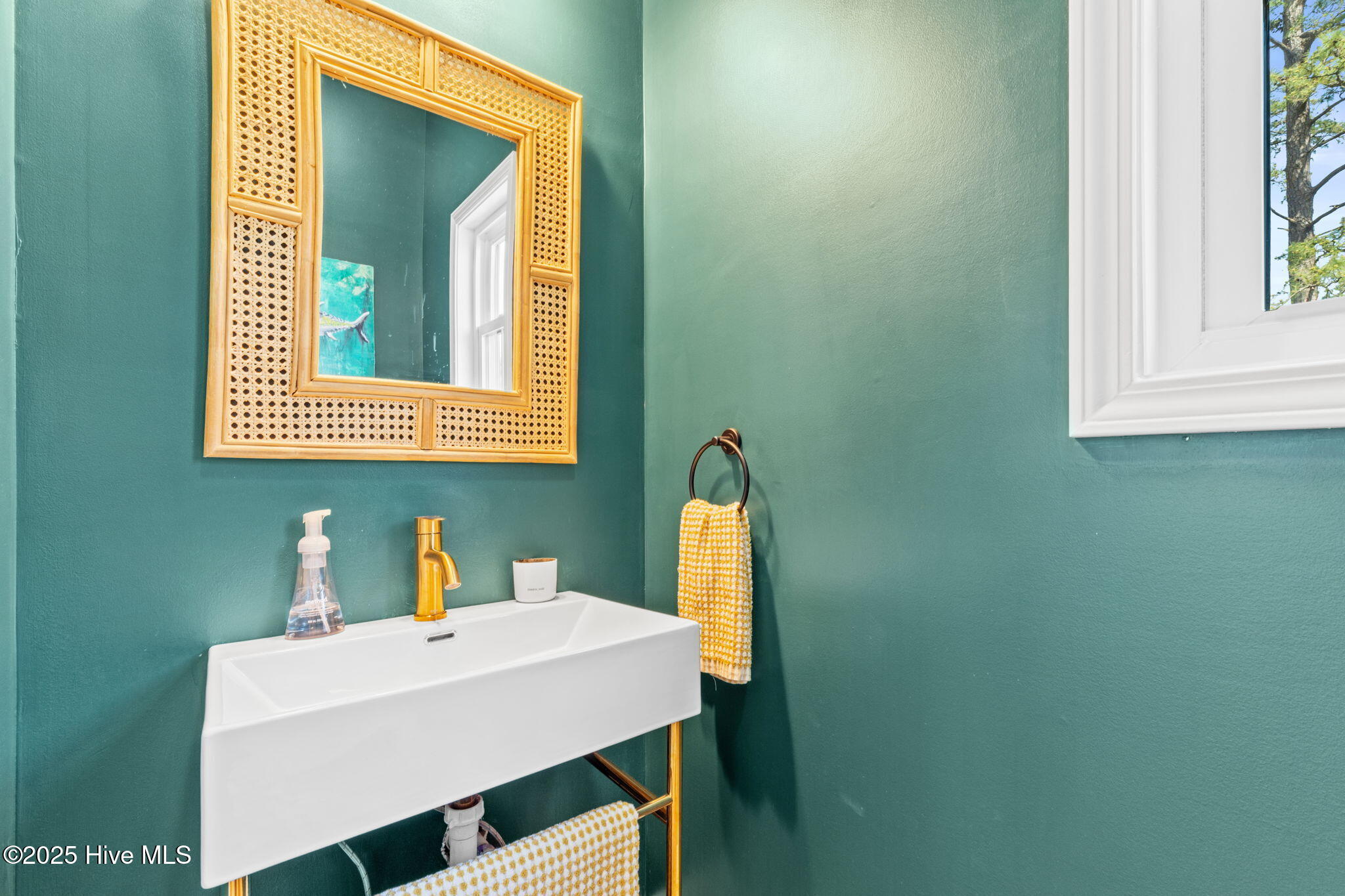 100496086 | Photo 24