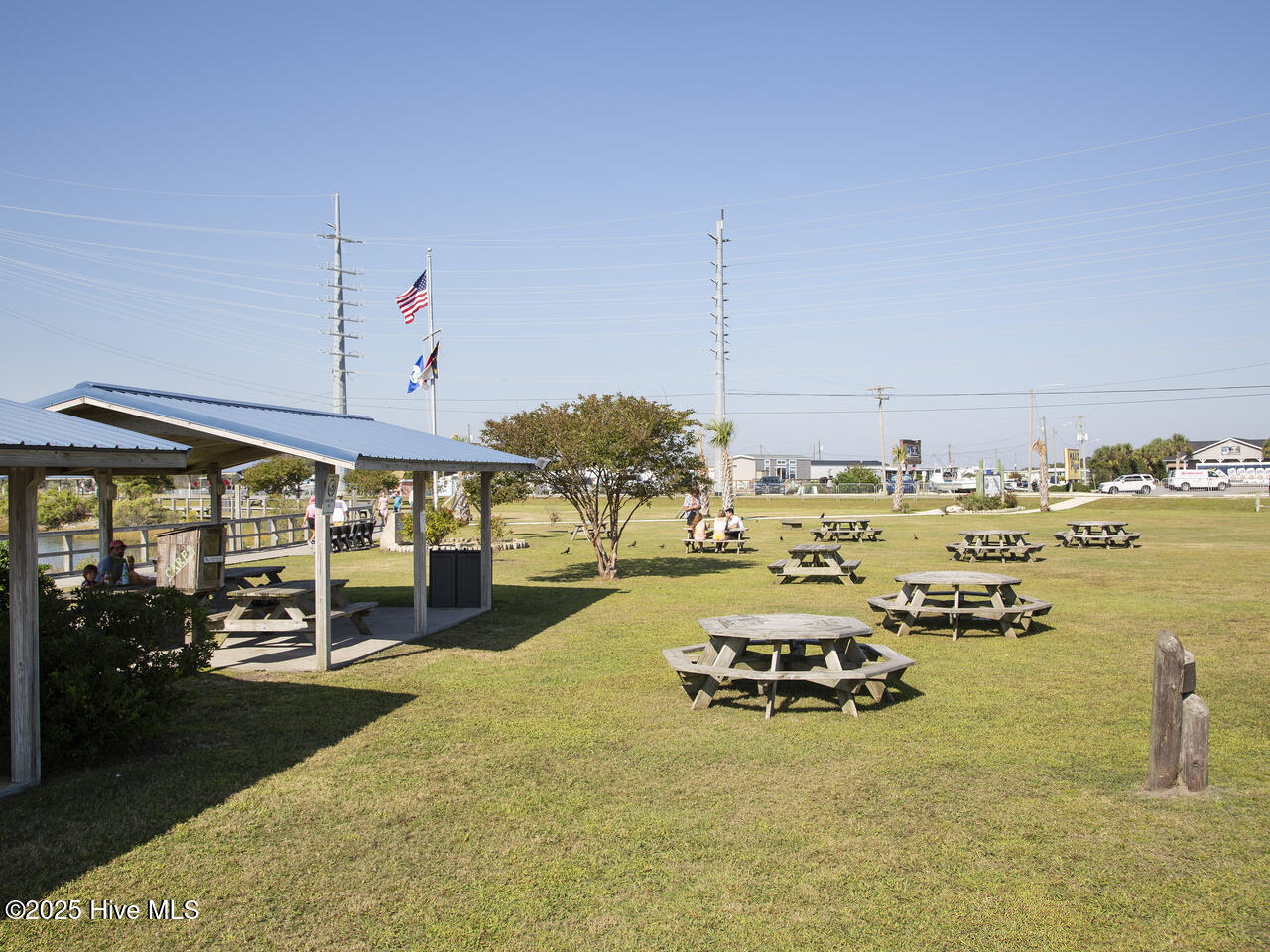 100512495 | Photo 47