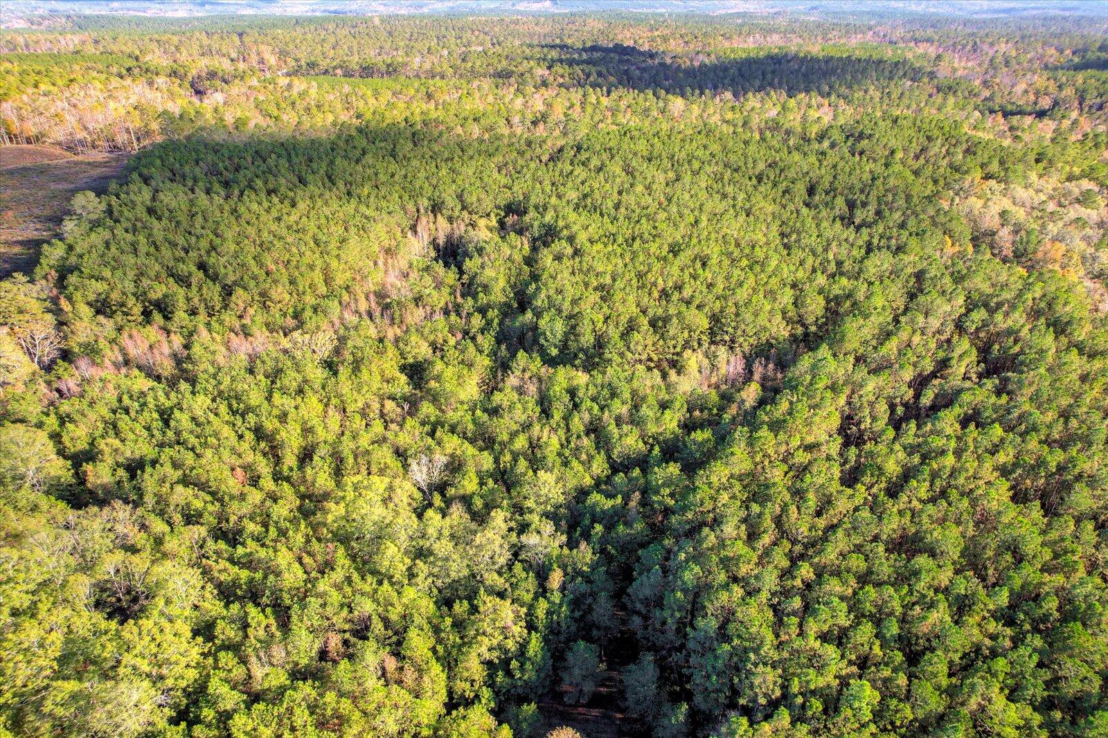 TBD2 SC-23, Edgefield, SC, 29824